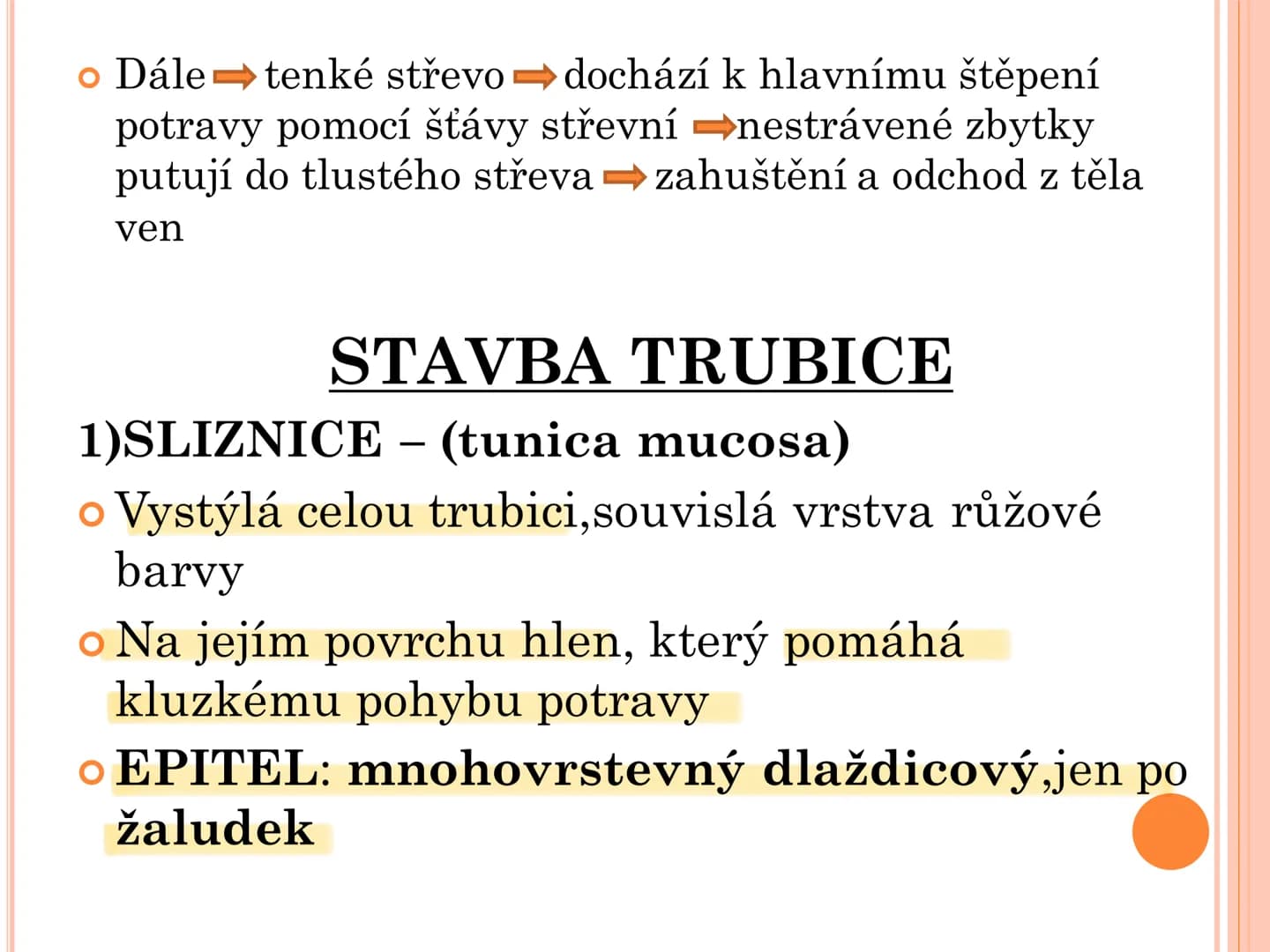 # TRÁVICÍ SOUSTAVA # TRÁVICÍ SOUSTAVA – APPARATUS
# DIGESTORIUS
* TS přijímá, zpracovává a vstřebává živné látky
* TS je nezbytná pro z