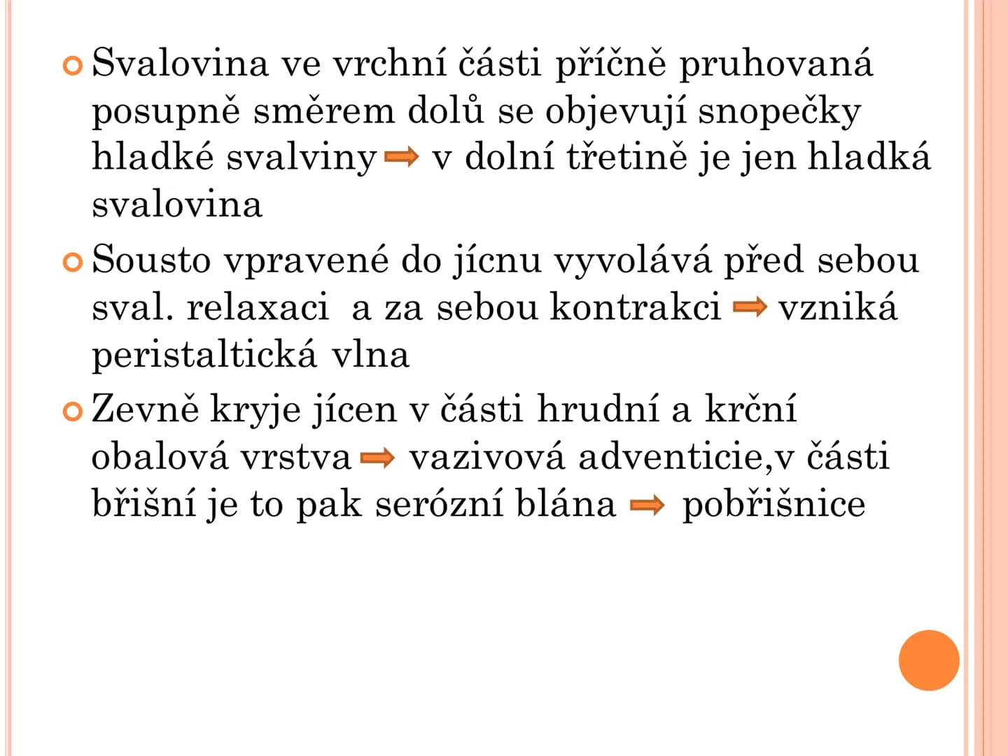 # TRÁVICÍ SOUSTAVA # TRÁVICÍ SOUSTAVA – APPARATUS
# DIGESTORIUS
* TS přijímá, zpracovává a vstřebává živné látky
* TS je nezbytná pro z