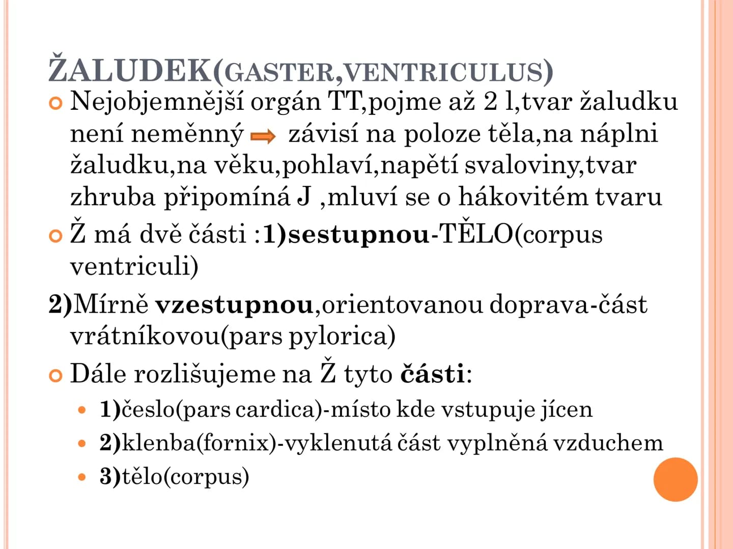 # TRÁVICÍ SOUSTAVA # TRÁVICÍ SOUSTAVA – APPARATUS
# DIGESTORIUS
* TS přijímá, zpracovává a vstřebává živné látky
* TS je nezbytná pro z