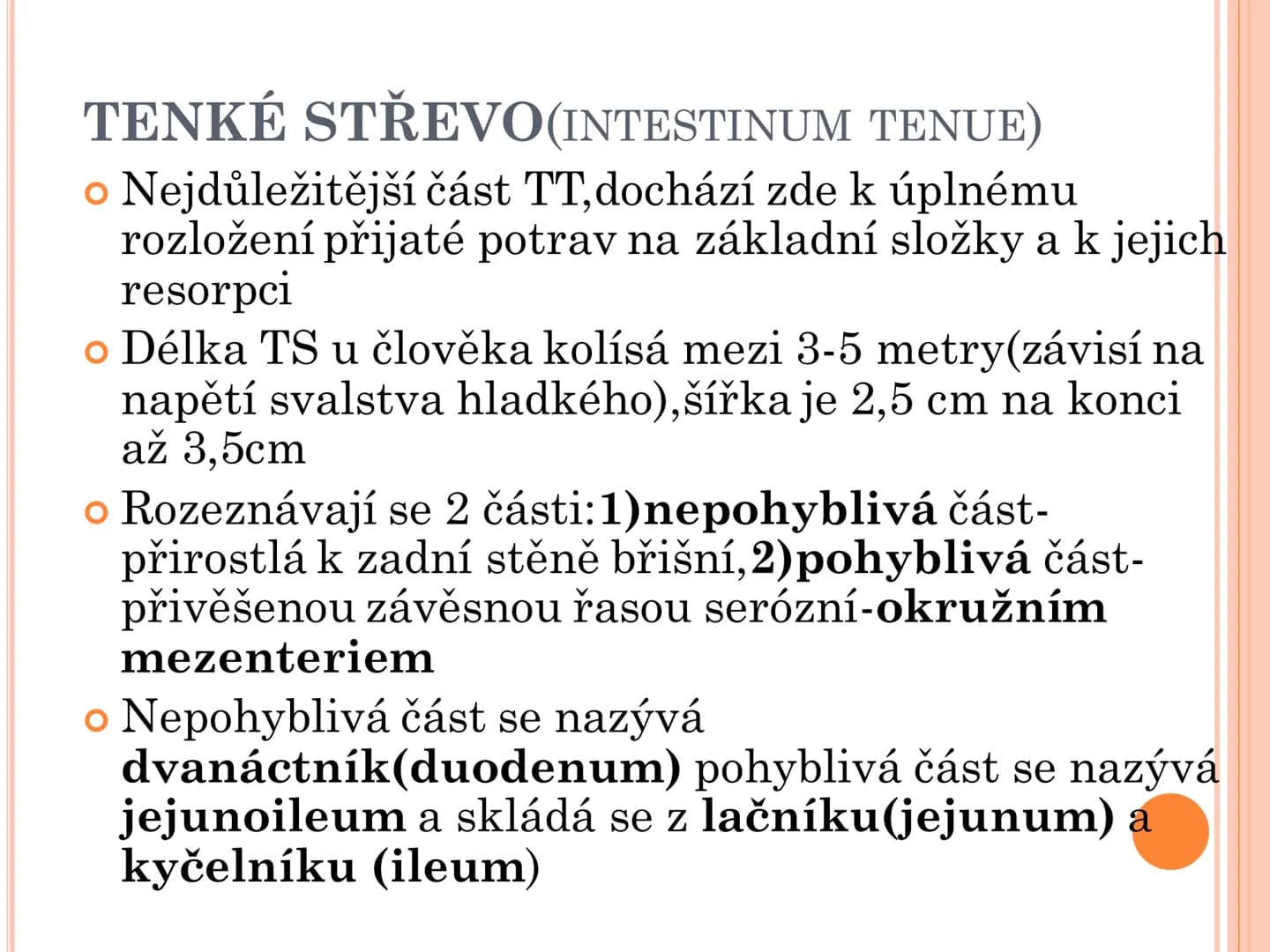 # TRÁVICÍ SOUSTAVA # TRÁVICÍ SOUSTAVA – APPARATUS
# DIGESTORIUS
* TS přijímá, zpracovává a vstřebává živné látky
* TS je nezbytná pro z