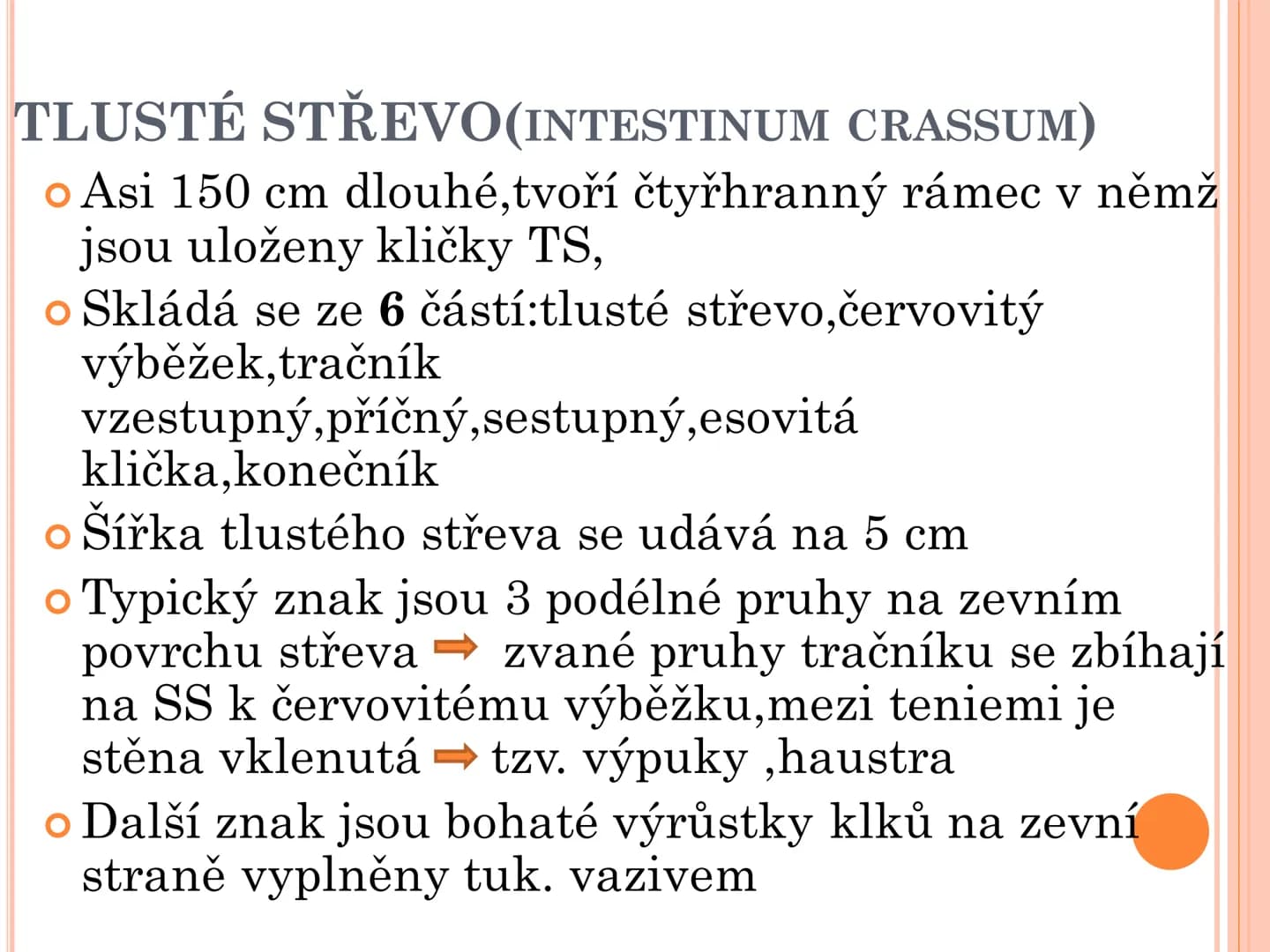 # TRÁVICÍ SOUSTAVA # TRÁVICÍ SOUSTAVA – APPARATUS
# DIGESTORIUS
* TS přijímá, zpracovává a vstřebává živné látky
* TS je nezbytná pro z