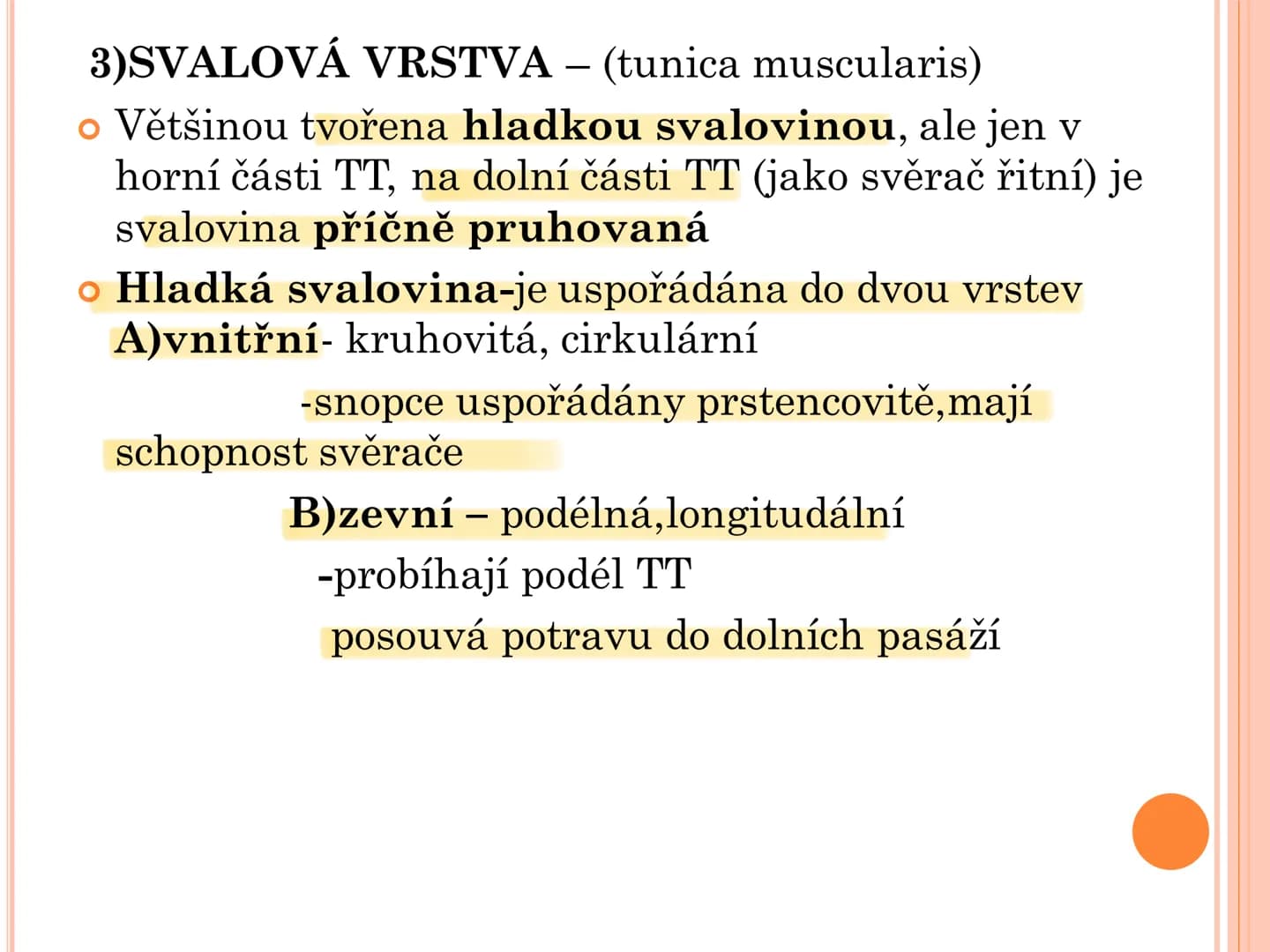 # TRÁVICÍ SOUSTAVA # TRÁVICÍ SOUSTAVA – APPARATUS
# DIGESTORIUS
* TS přijímá, zpracovává a vstřebává živné látky
* TS je nezbytná pro z