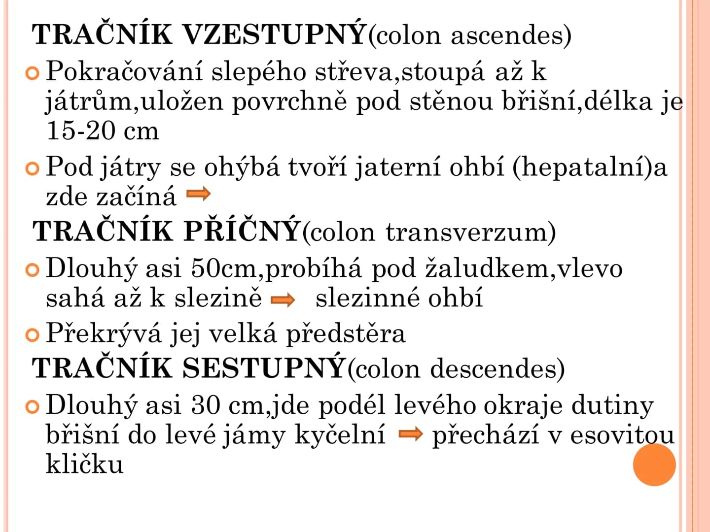 # TRÁVICÍ SOUSTAVA # TRÁVICÍ SOUSTAVA – APPARATUS
# DIGESTORIUS
* TS přijímá, zpracovává a vstřebává živné látky
* TS je nezbytná pro z