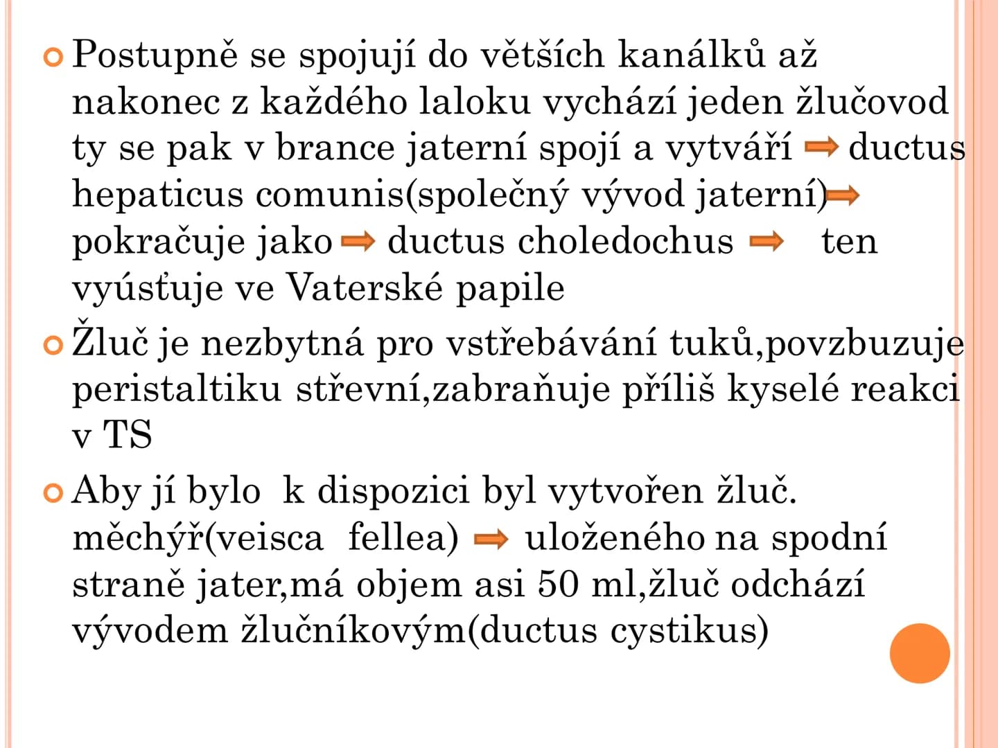 # TRÁVICÍ SOUSTAVA # TRÁVICÍ SOUSTAVA – APPARATUS
# DIGESTORIUS
* TS přijímá, zpracovává a vstřebává živné látky
* TS je nezbytná pro z
