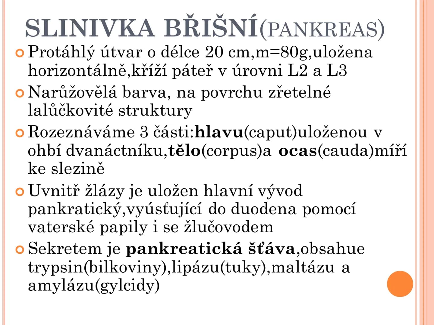 # TRÁVICÍ SOUSTAVA # TRÁVICÍ SOUSTAVA – APPARATUS
# DIGESTORIUS
* TS přijímá, zpracovává a vstřebává živné látky
* TS je nezbytná pro z