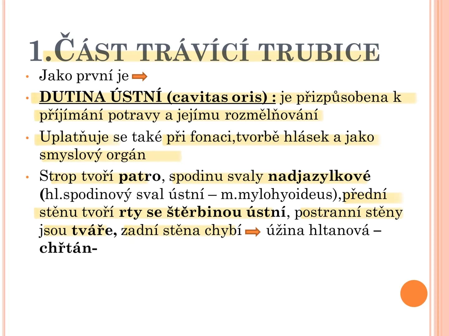 # TRÁVICÍ SOUSTAVA # TRÁVICÍ SOUSTAVA – APPARATUS
# DIGESTORIUS
* TS přijímá, zpracovává a vstřebává živné látky
* TS je nezbytná pro z