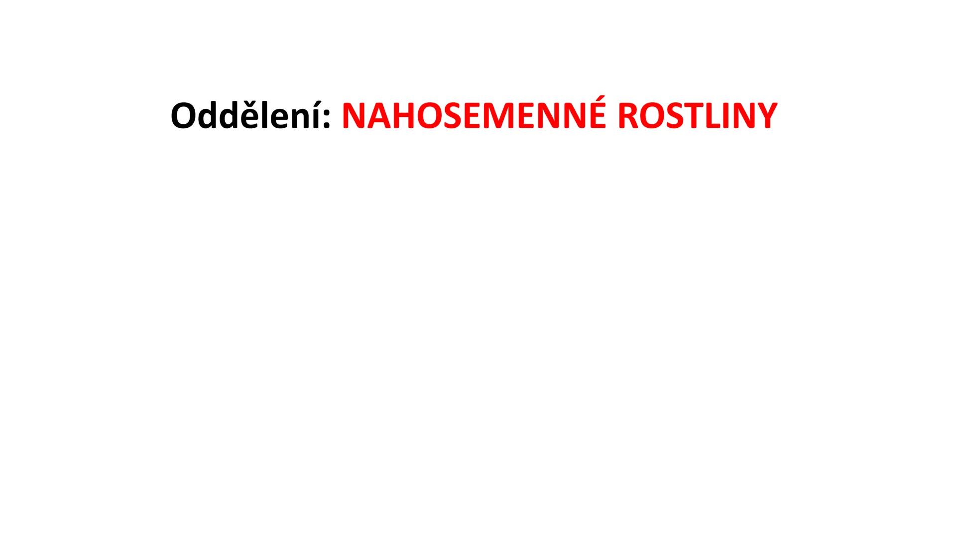 # Oddělení: NAHOSEMENNÉ ROSTLINY - vznik v prvohorách
- pouze keře a stromy
- druhotné tloustnutí ! (tvorba kambia a felogenu)
- nahá vajíčk