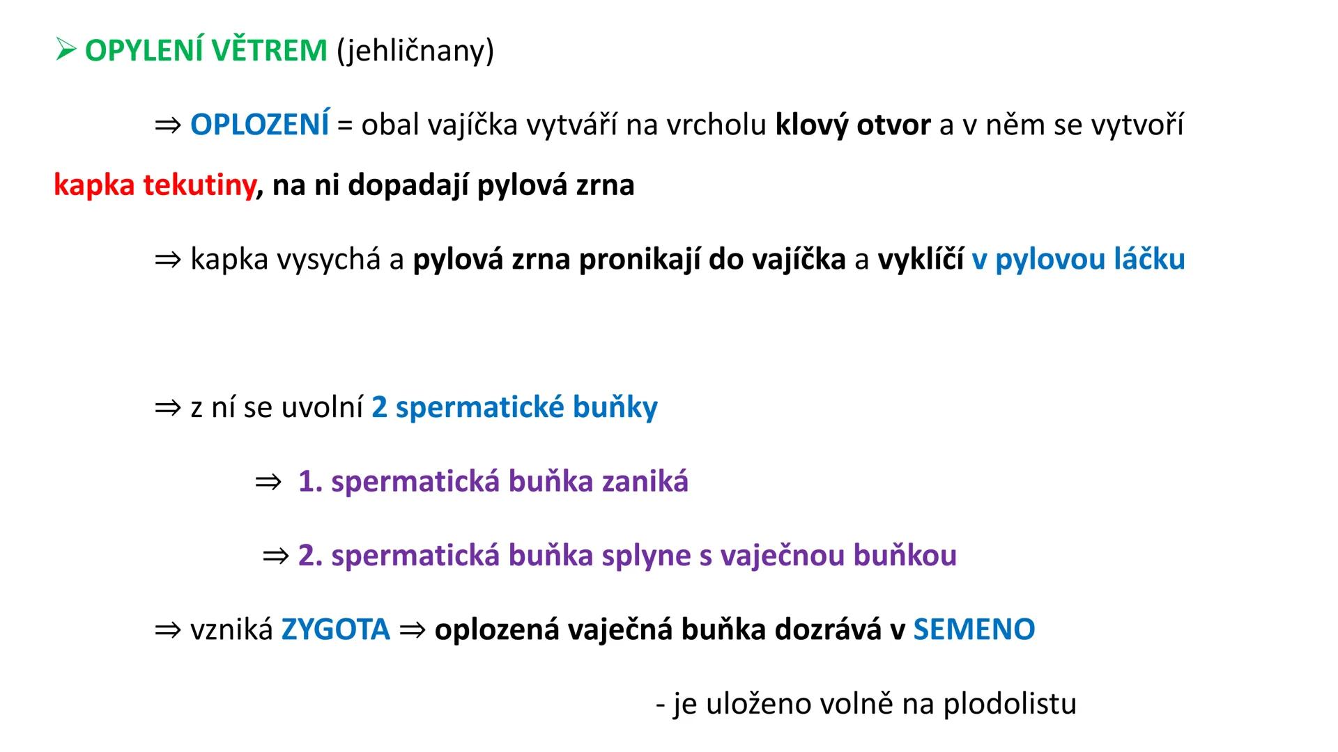 # Oddělení: NAHOSEMENNÉ ROSTLINY - vznik v prvohorách
- pouze keře a stromy
- druhotné tloustnutí ! (tvorba kambia a felogenu)
- nahá vajíčk