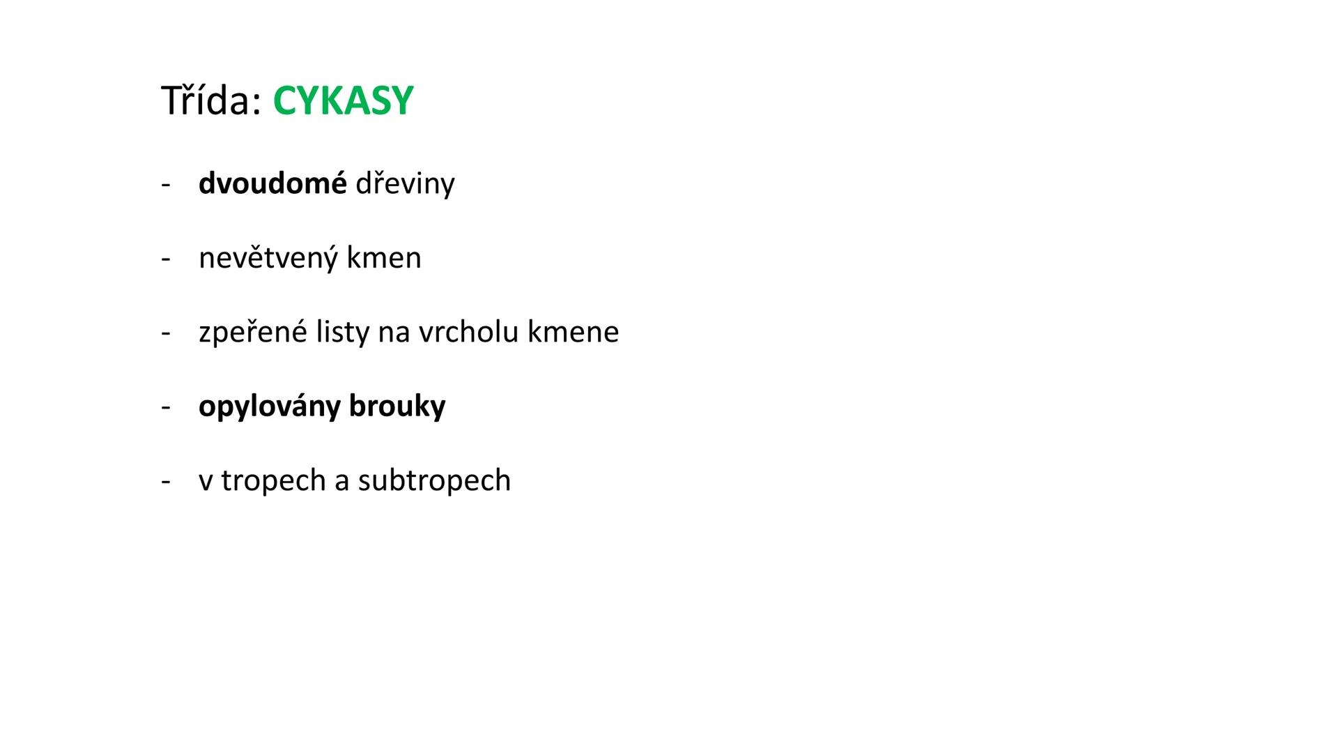 # Oddělení: NAHOSEMENNÉ ROSTLINY - vznik v prvohorách
- pouze keře a stromy
- druhotné tloustnutí ! (tvorba kambia a felogenu)
- nahá vajíčk