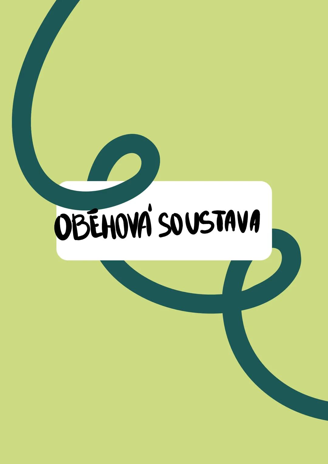 # OBĚHOVÁ SOUSTAVA žily
2 komory
krev
Sude
cevy
Oběhova'
Soustava
tepny
/
Hak
krvinky
2 si
komory
- srdce, cévy, krev = obéhova' soustava
-