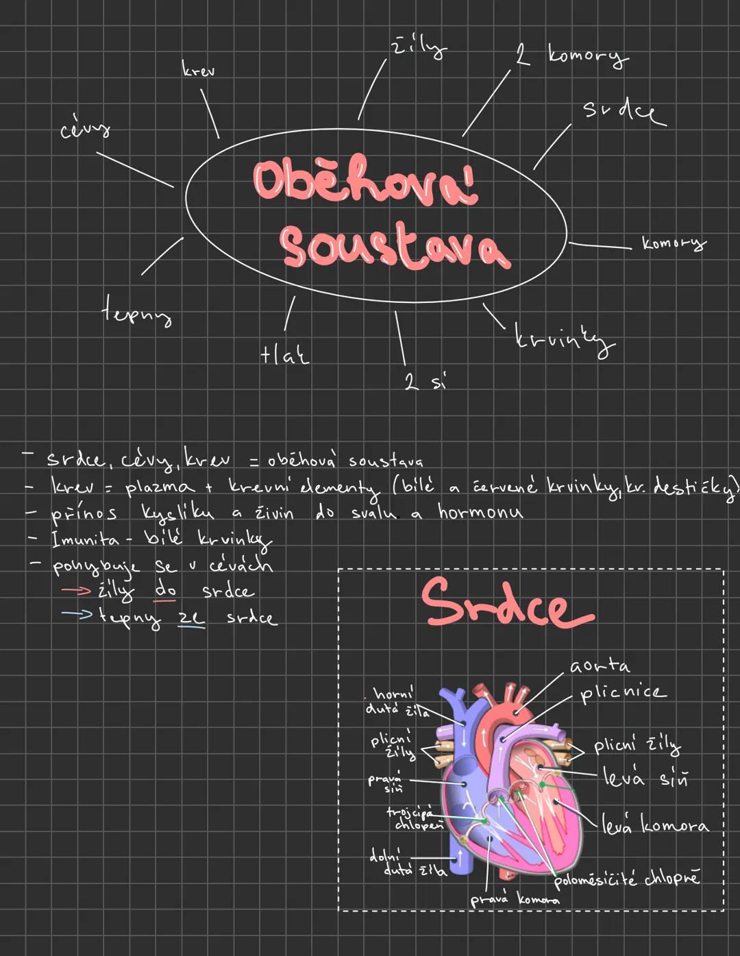 # OBĚHOVÁ SOUSTAVA žily
2 komory
krev
Sude
cevy
Oběhova'
Soustava
tepny
/
Hak
krvinky
2 si
komory
- srdce, cévy, krev = obéhova' soustava
-