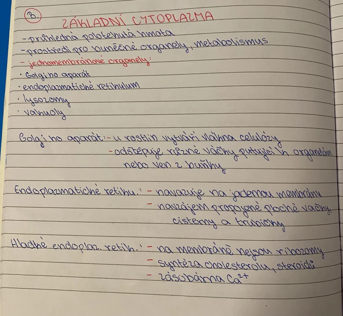 (B.)
ZÁKLADNÍ CYTOPLAZMA
-Průhledná polotehutá hmota
-prostředí pro buněčné organely, metabolismus
- jednomembránové organely:
* Golgi no