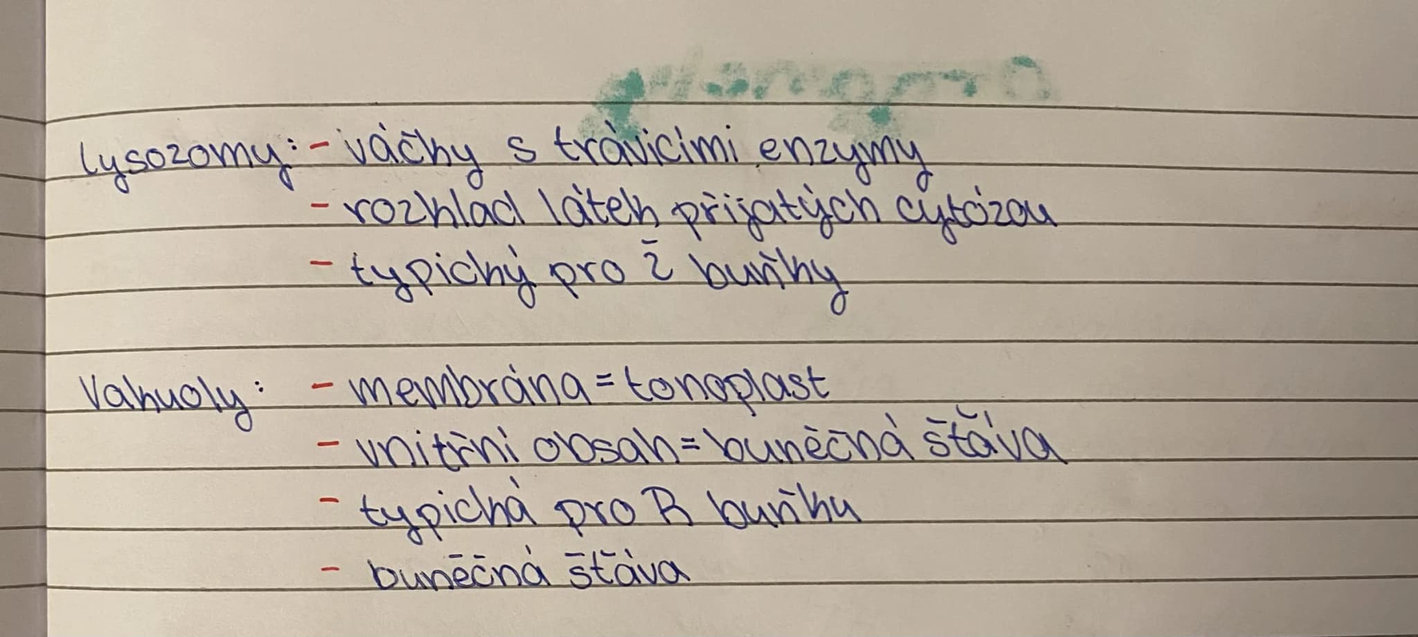 (B.)
ZÁKLADNÍ CYTOPLAZMA
-Průhledná polotehutá hmota
-prostředí pro buněčné organely, metabolismus
- jednomembránové organely:
* Golgi no