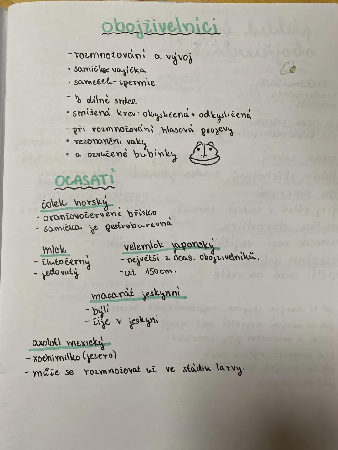 # obojživelnici
- rozmnožováni a vývoj
- samičker vajíčka
- sameček-spermie
- 3 dilné srdce
- smíšená krev: okysličená + odkysličená
- při