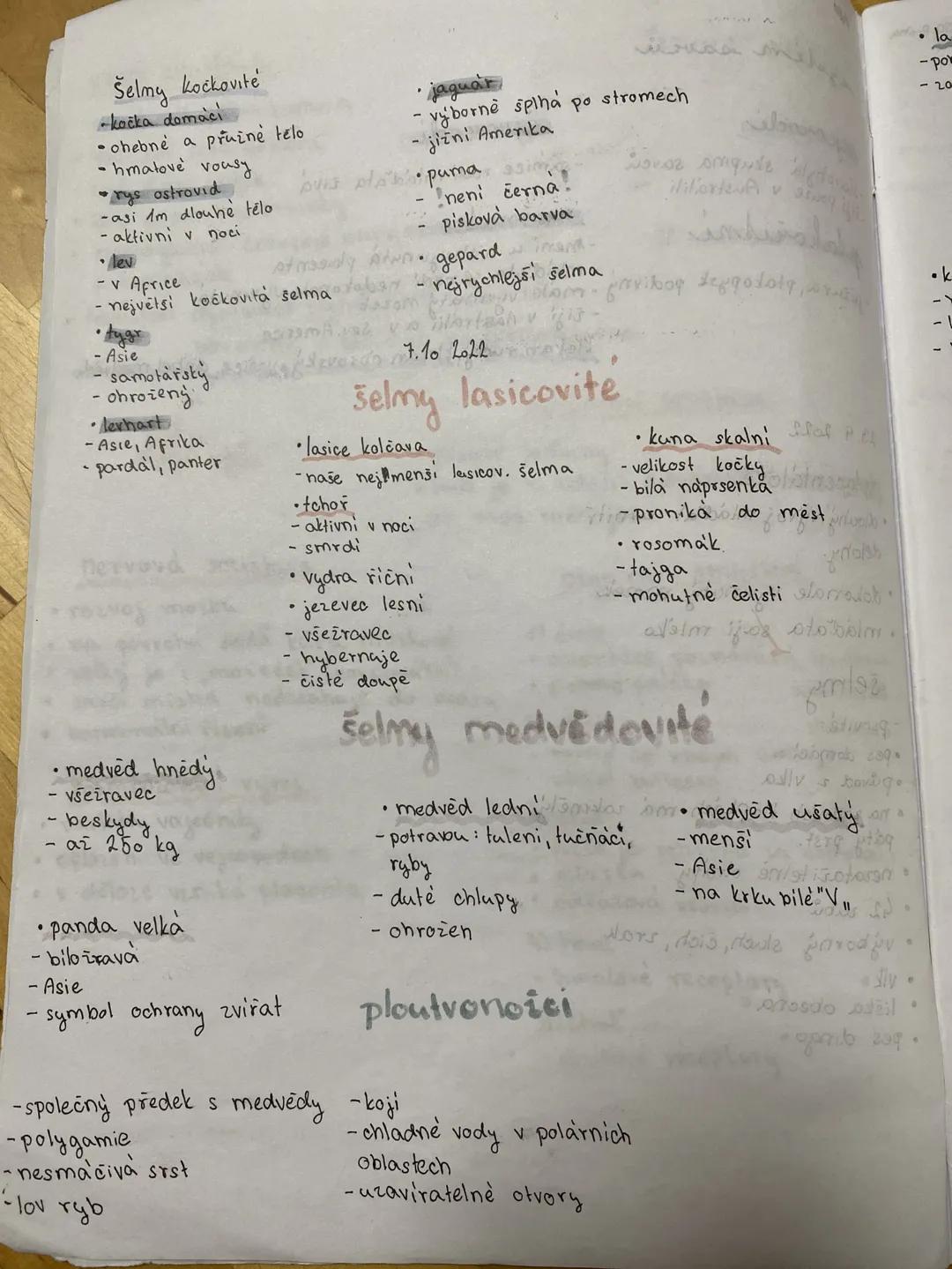 Šelmy kockovité
-kočka domaci
ohebné a pružné telo
- hmatové vousy
rys ostrovid
-asi 1m dlouhé tělo
aktivni v noci
lev
v Africe
nejvetsi koč