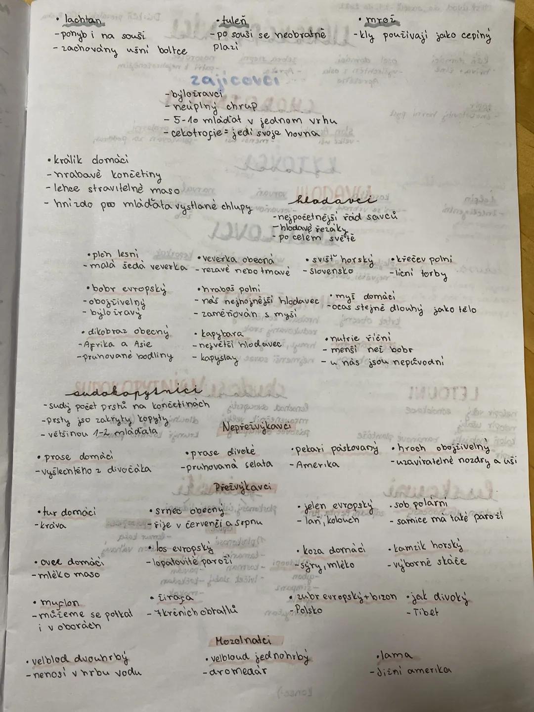 Šelmy kockovité
-kočka domaci
ohebné a pružné telo
- hmatové vousy
rys ostrovid
-asi 1m dlouhé tělo
aktivni v noci
lev
v Africe
nejvetsi koč