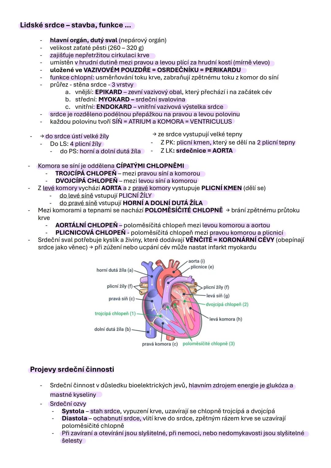 --- OCR Start ---
Erytropoéza - proces tvorby červených krvinek (erytrocytů).
Erytropoetin - hormon stimulující erytropoézu, produkovaný led