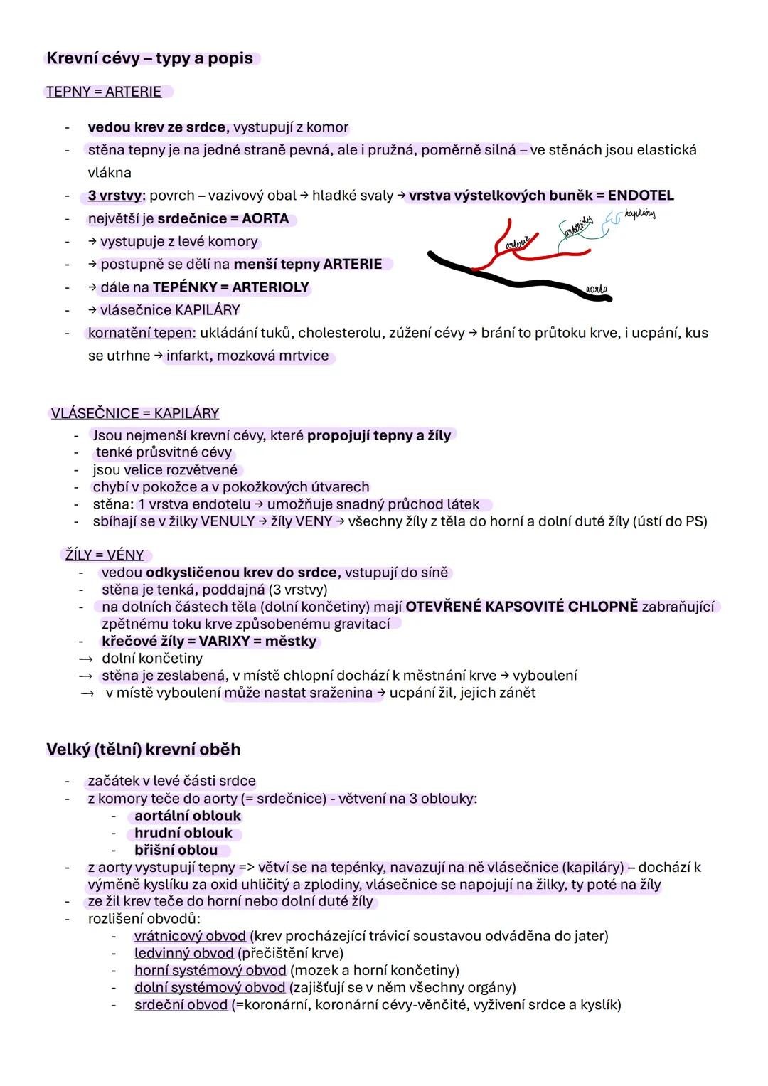 --- OCR Start ---
Erytropoéza - proces tvorby červených krvinek (erytrocytů).
Erytropoetin - hormon stimulující erytropoézu, produkovaný led