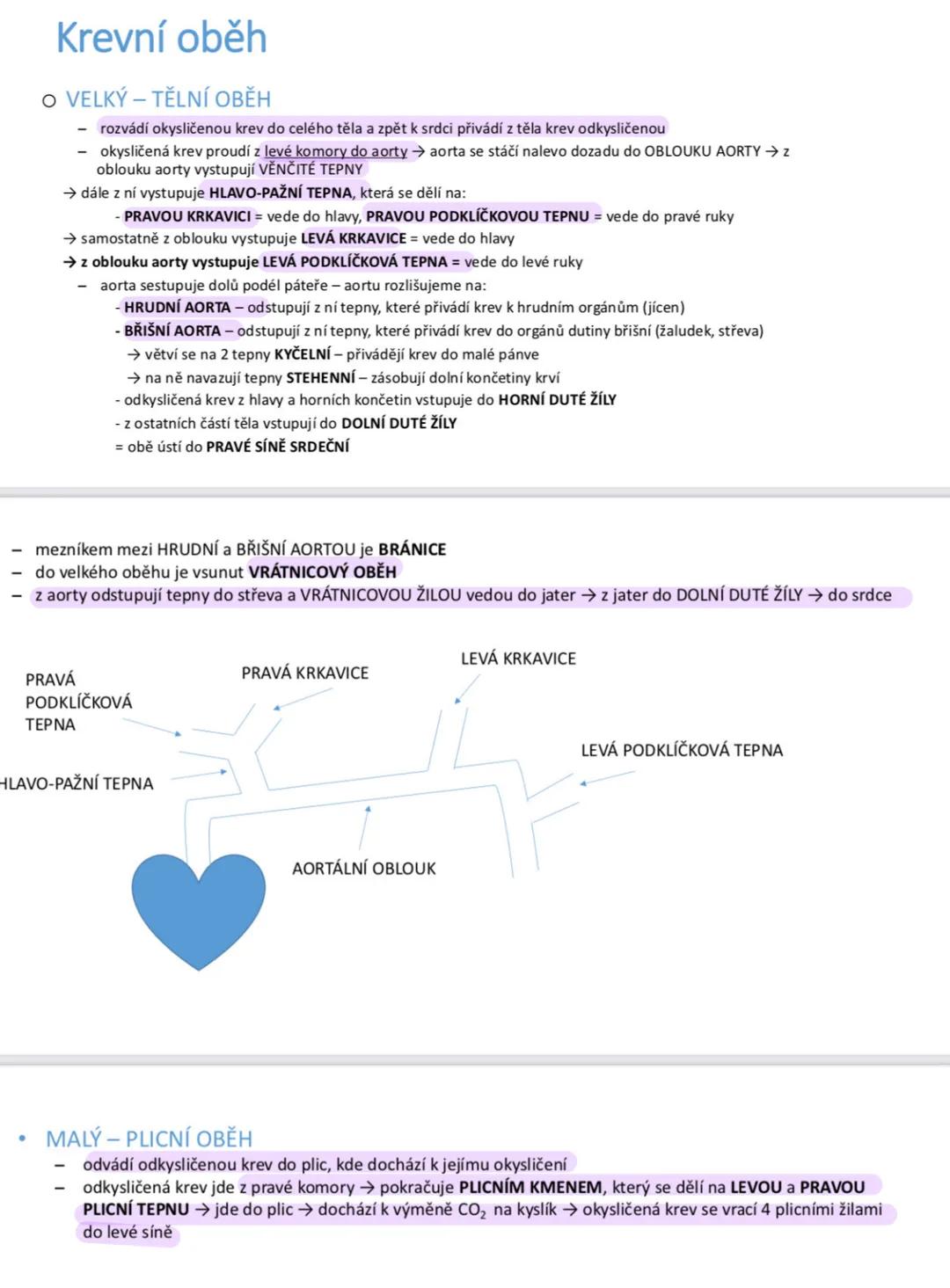 --- OCR Start ---
Erytropoéza - proces tvorby červených krvinek (erytrocytů).
Erytropoetin - hormon stimulující erytropoézu, produkovaný led