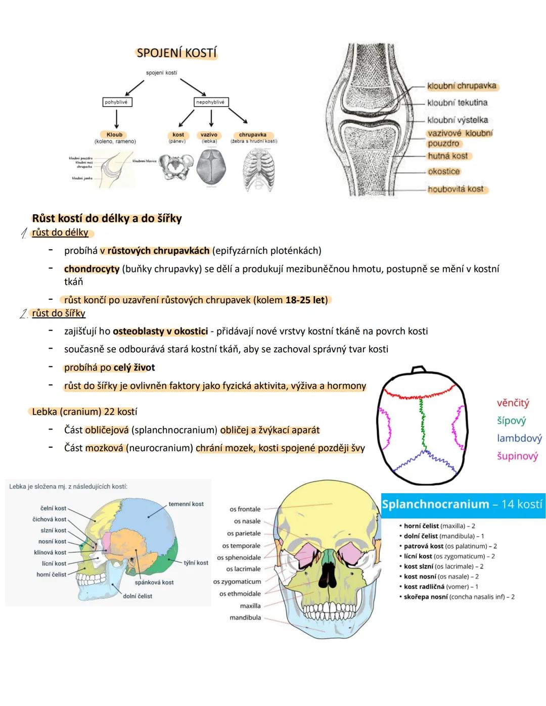 # MO 21 Opěrná a pohybová soustava člověka a jeho fylogeneze
Pojmy a jejich definice:
1. Pojivo
* Vazivo - měkká pojivová tkáň, která s