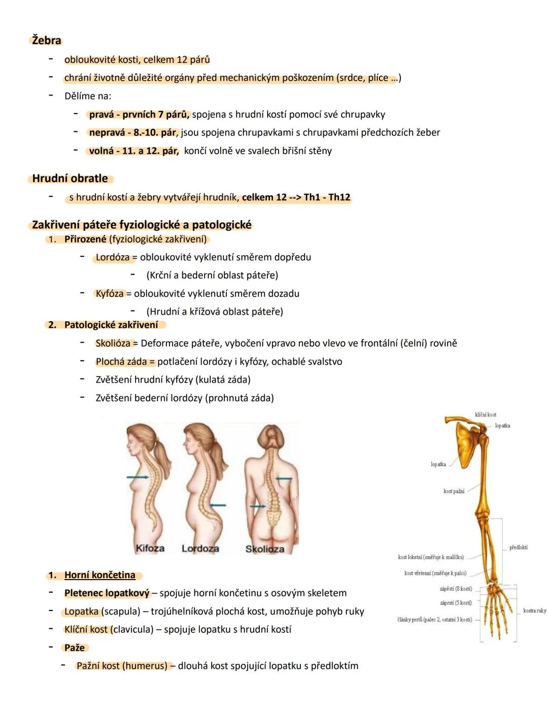 # MO 21 Opěrná a pohybová soustava člověka a jeho fylogeneze
Pojmy a jejich definice:
1. Pojivo
* Vazivo - měkká pojivová tkáň, která s