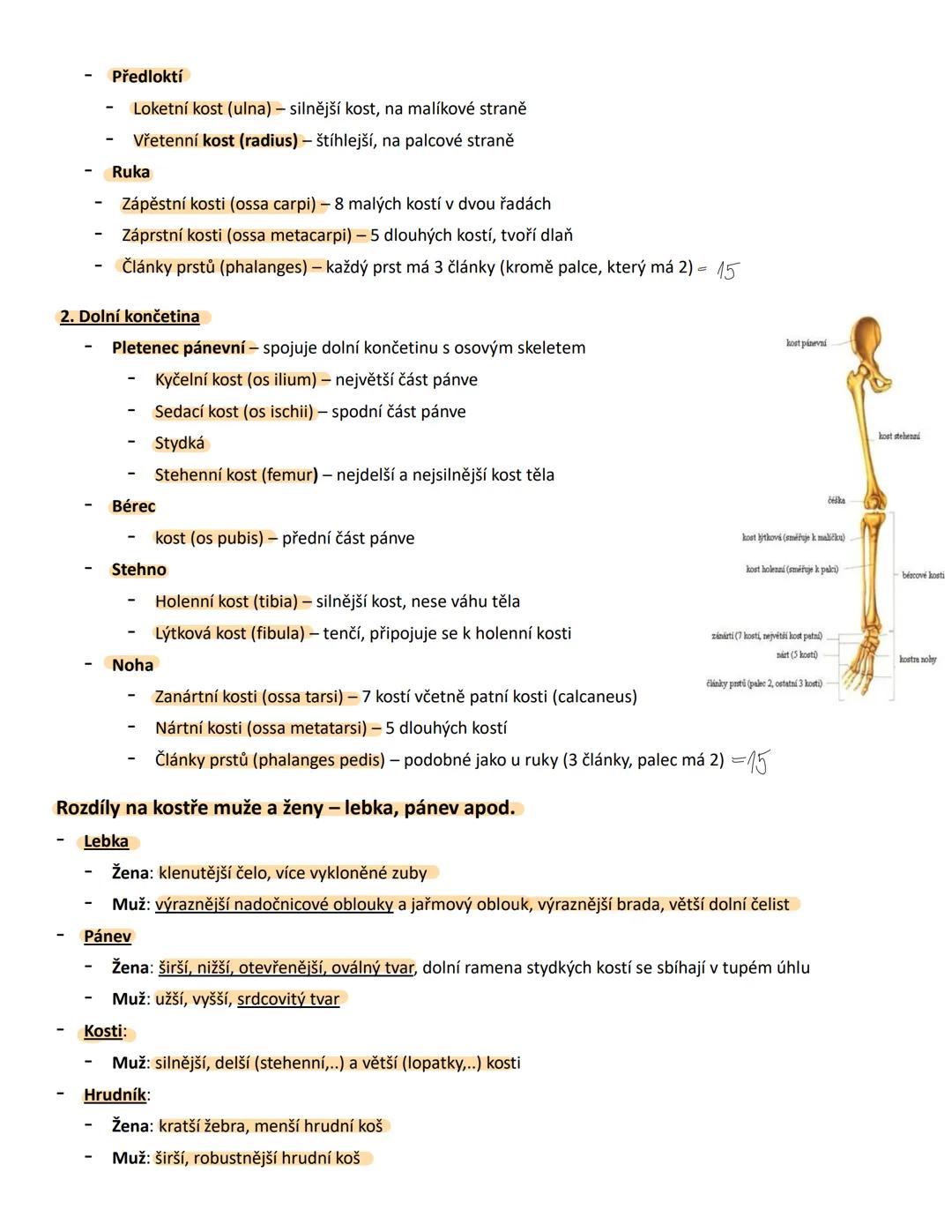 # MO 21 Opěrná a pohybová soustava člověka a jeho fylogeneze
Pojmy a jejich definice:
1. Pojivo
* Vazivo - měkká pojivová tkáň, která s