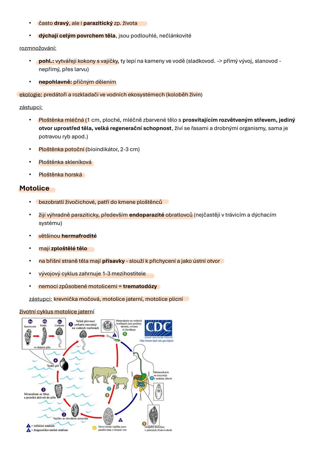 # Biologie 9
1. Cefalizace - proces, při kterém se během evoluce soustřeďují nervová centra v přední části těla, což
vede k vytvoření hlav
