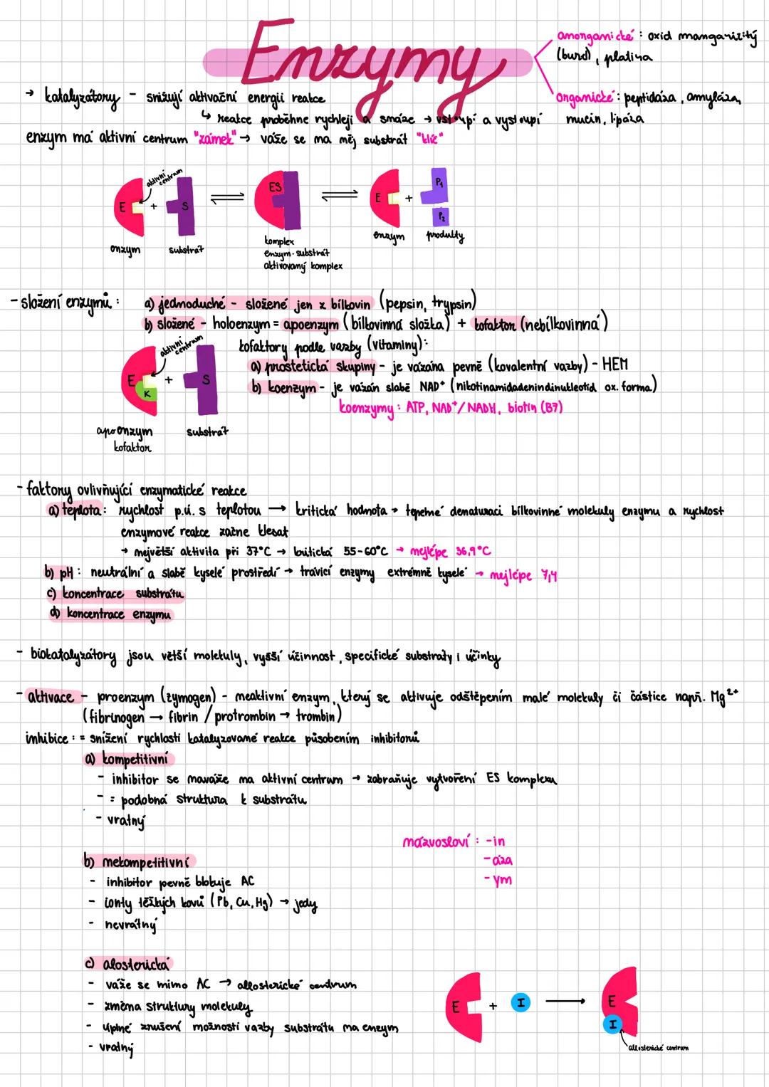 Enzymy a enzymatické třídy