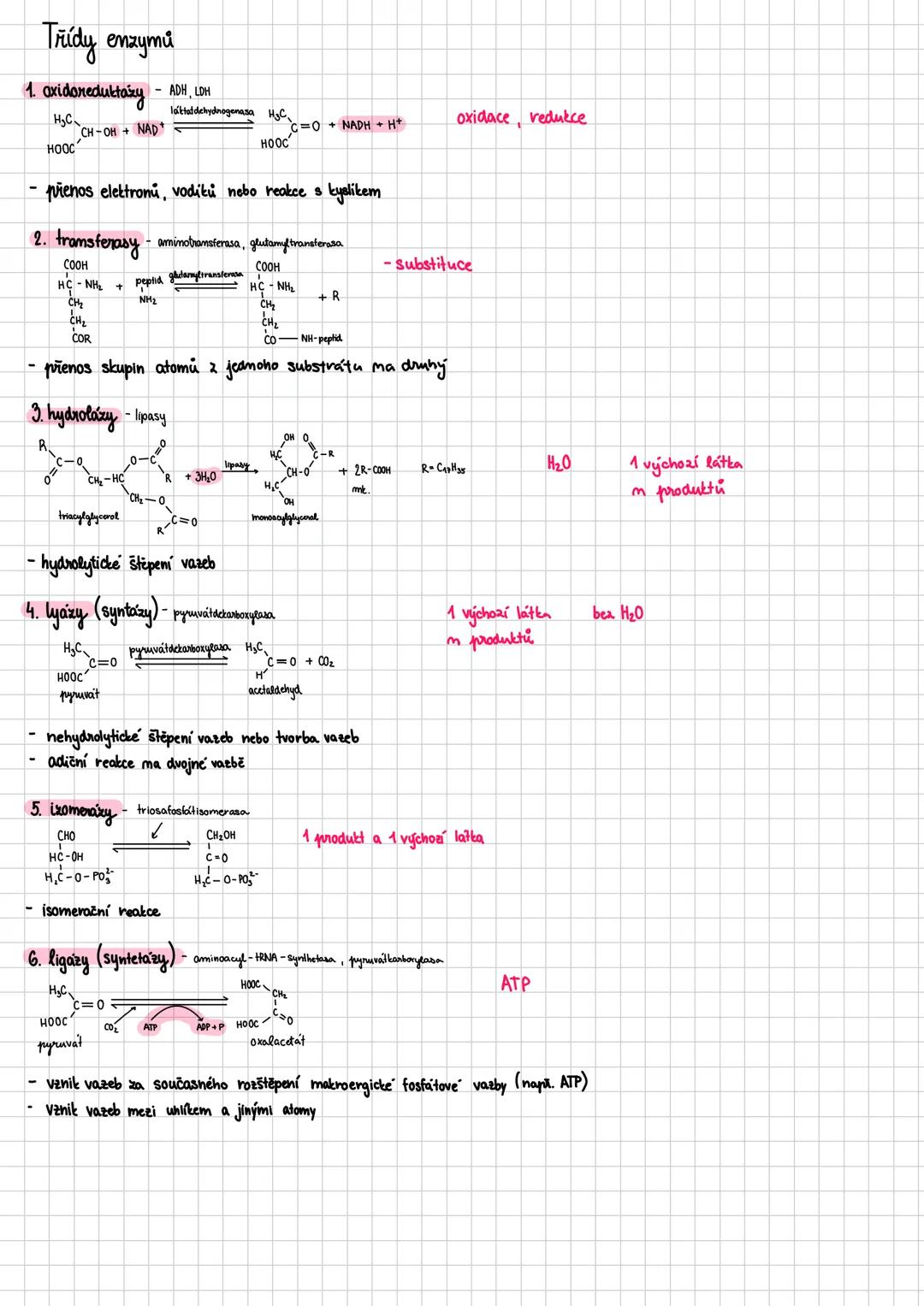# Enzymy
→ katalyzátory - snižují aktivační energii reakce
reakce proběhne rychleji a snáze → vstup a výstup
enzym má aktivní centrum "zámek