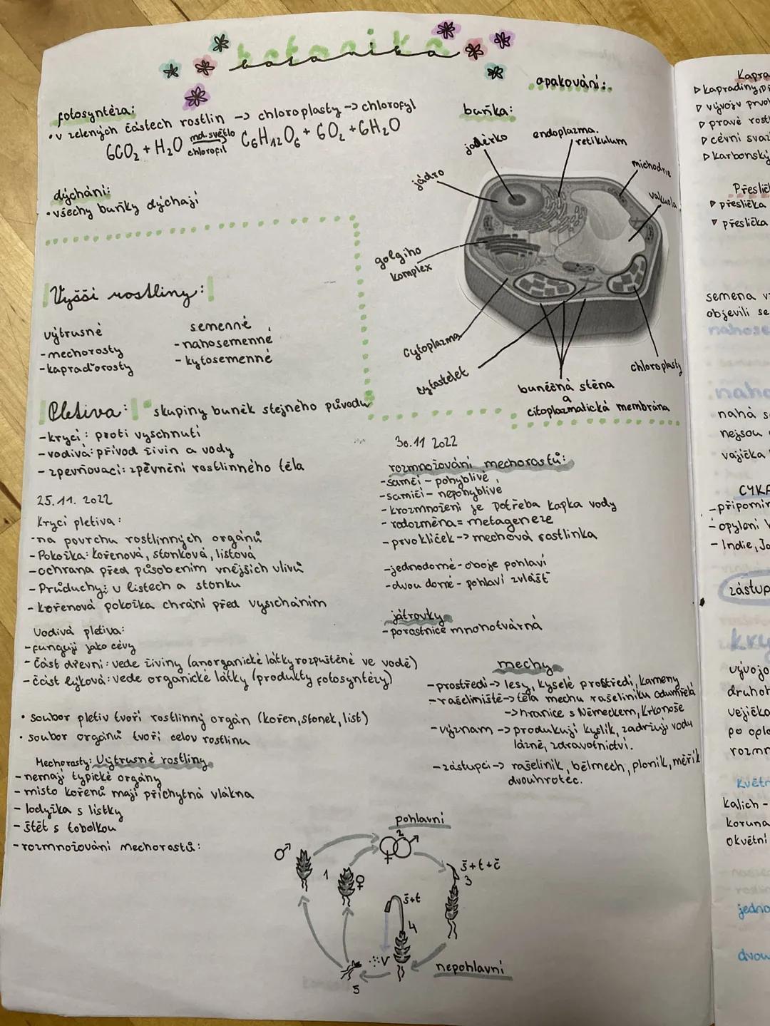 *
*
*
fotosyntéza:
•v zelených částech rostlin- chloroplasty-> chlorofyl
6CO2 + H2O C6H12O6 + 6O2 + 6H2O
opakovani:
baika:
jaderko
endopl