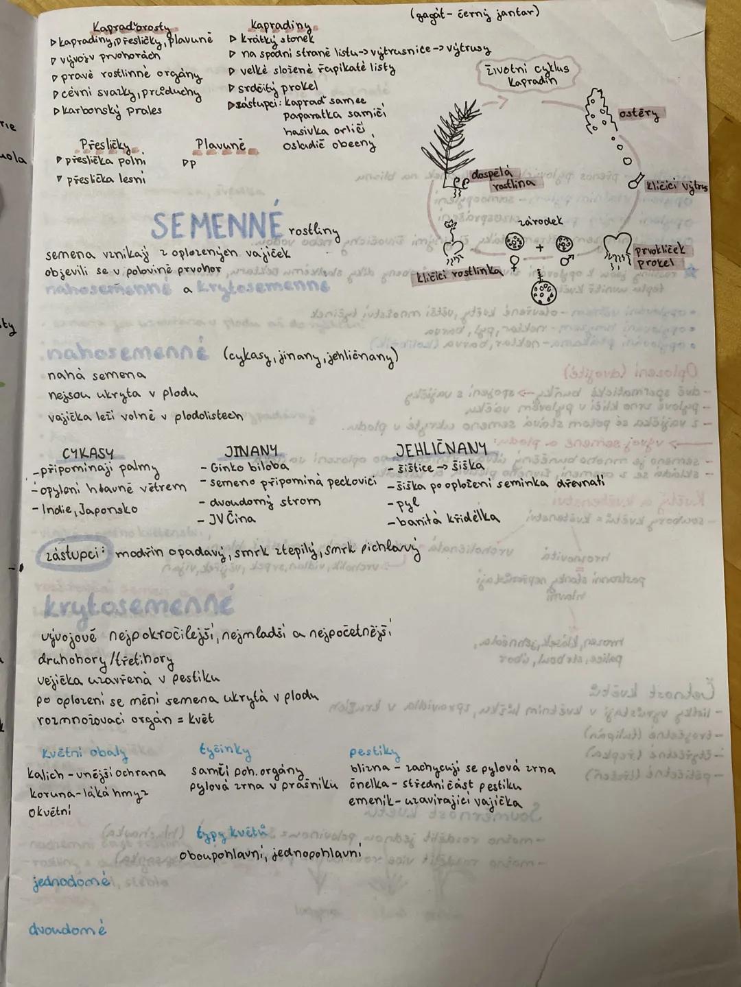 *
*
*
fotosyntéza:
•v zelených částech rostlin- chloroplasty-> chlorofyl
6CO2 + H2O C6H12O6 + 6O2 + 6H2O
opakovani:
baika:
jaderko
endopl