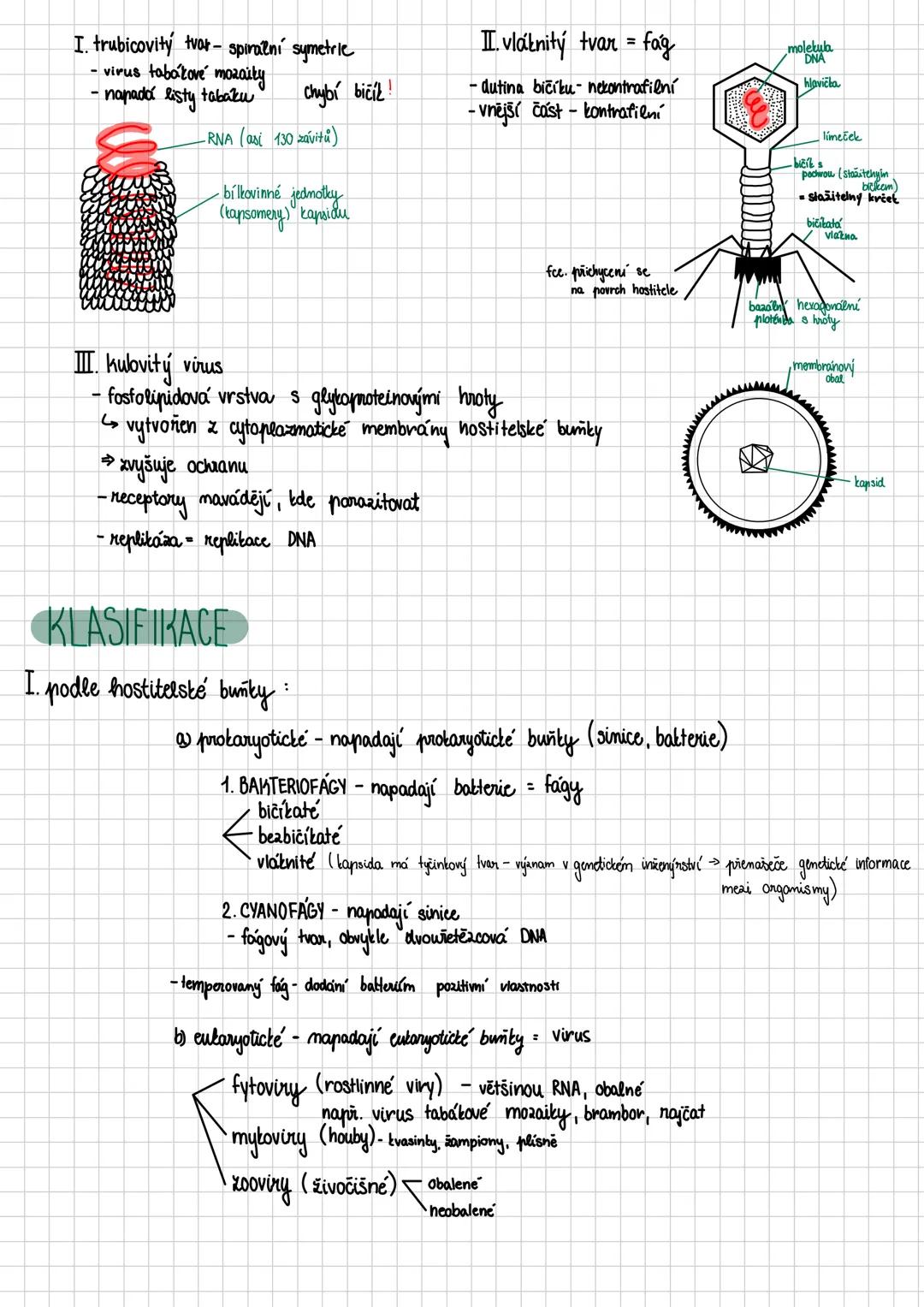 # Nebuněčné organismy + imunita
* viry
* taxonomie: nadříše: prokaryota
* říše: nebuněční (subcellulata)
* oddělení: viry