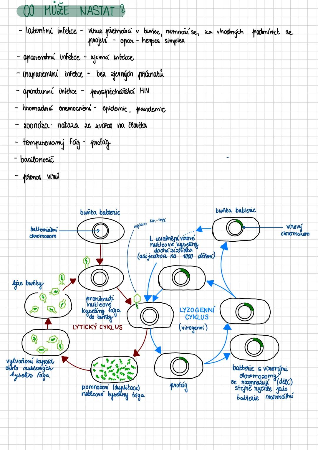# Nebuněčné organismy + imunita
* viry
* taxonomie: nadříše: prokaryota
* říše: nebuněční (subcellulata)
* oddělení: viry