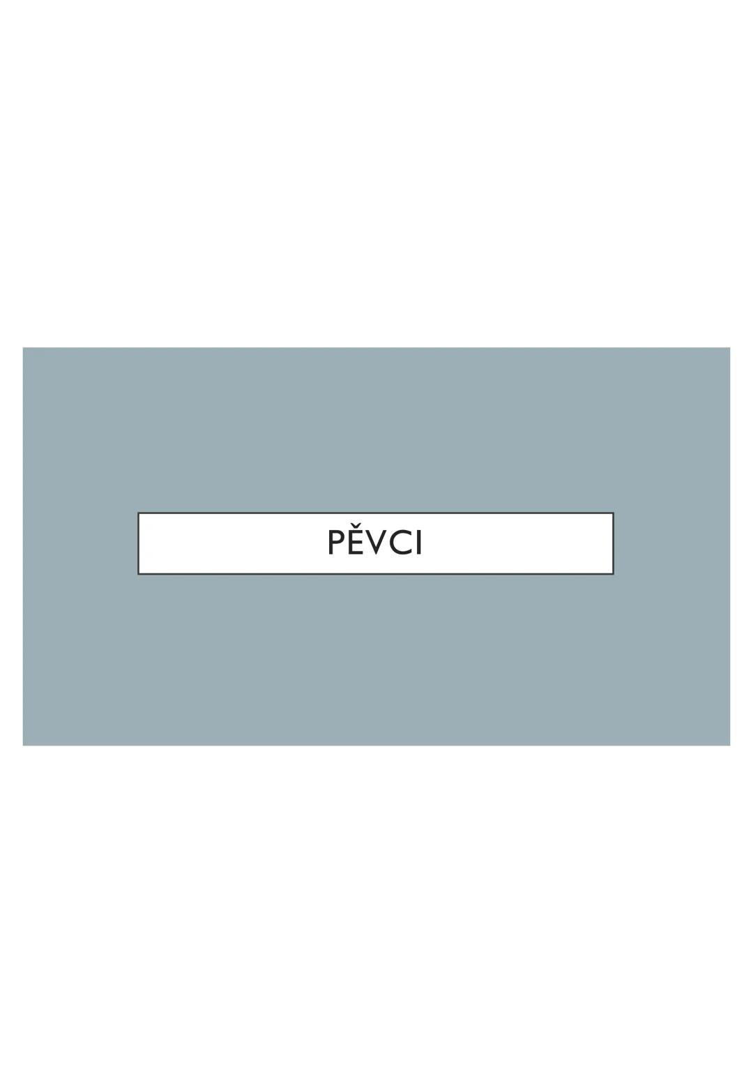 # PĚVCI --- OCR Start ---
ZNAKY
drobní až střední ptáci
nohy se 3 prsty dopředu a 1 dozadu
nohy pokryté rohovitými šupinami
složité hlasové