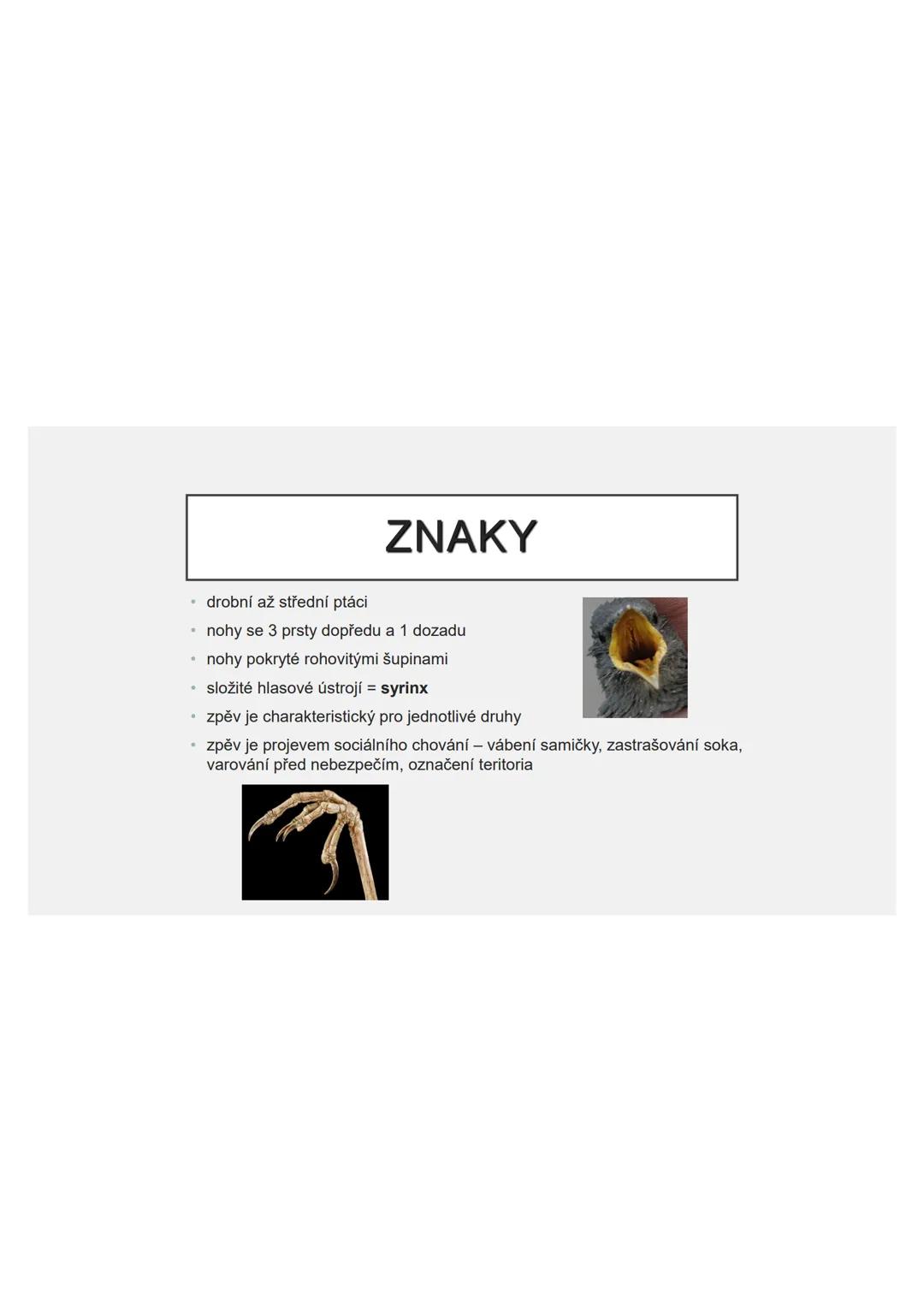 # PĚVCI --- OCR Start ---
ZNAKY
drobní až střední ptáci
nohy se 3 prsty dopředu a 1 dozadu
nohy pokryté rohovitými šupinami
složité hlasové