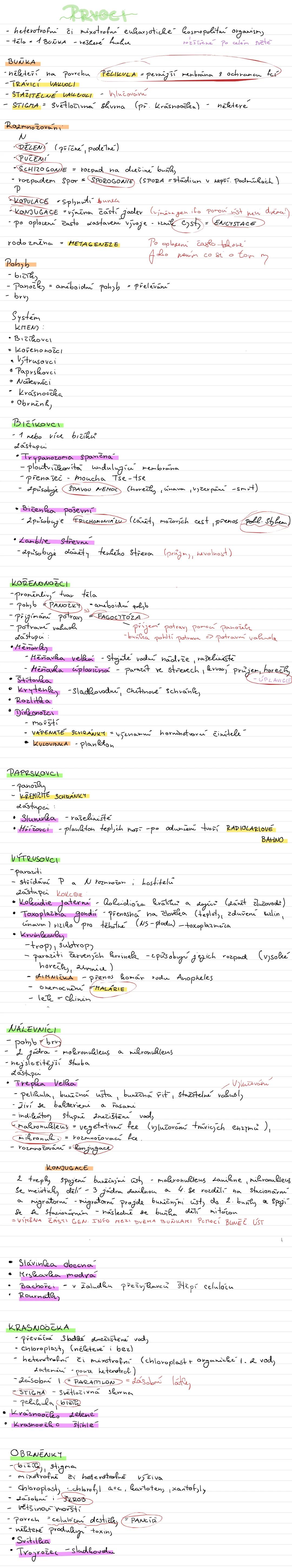 # PRVOCI
- jednobuněční či málobuněční eukaryotické "kosmopolitní" organismy
- tělo = buňka = veškeré funkce
- "obtížné" pro laika vidět
#