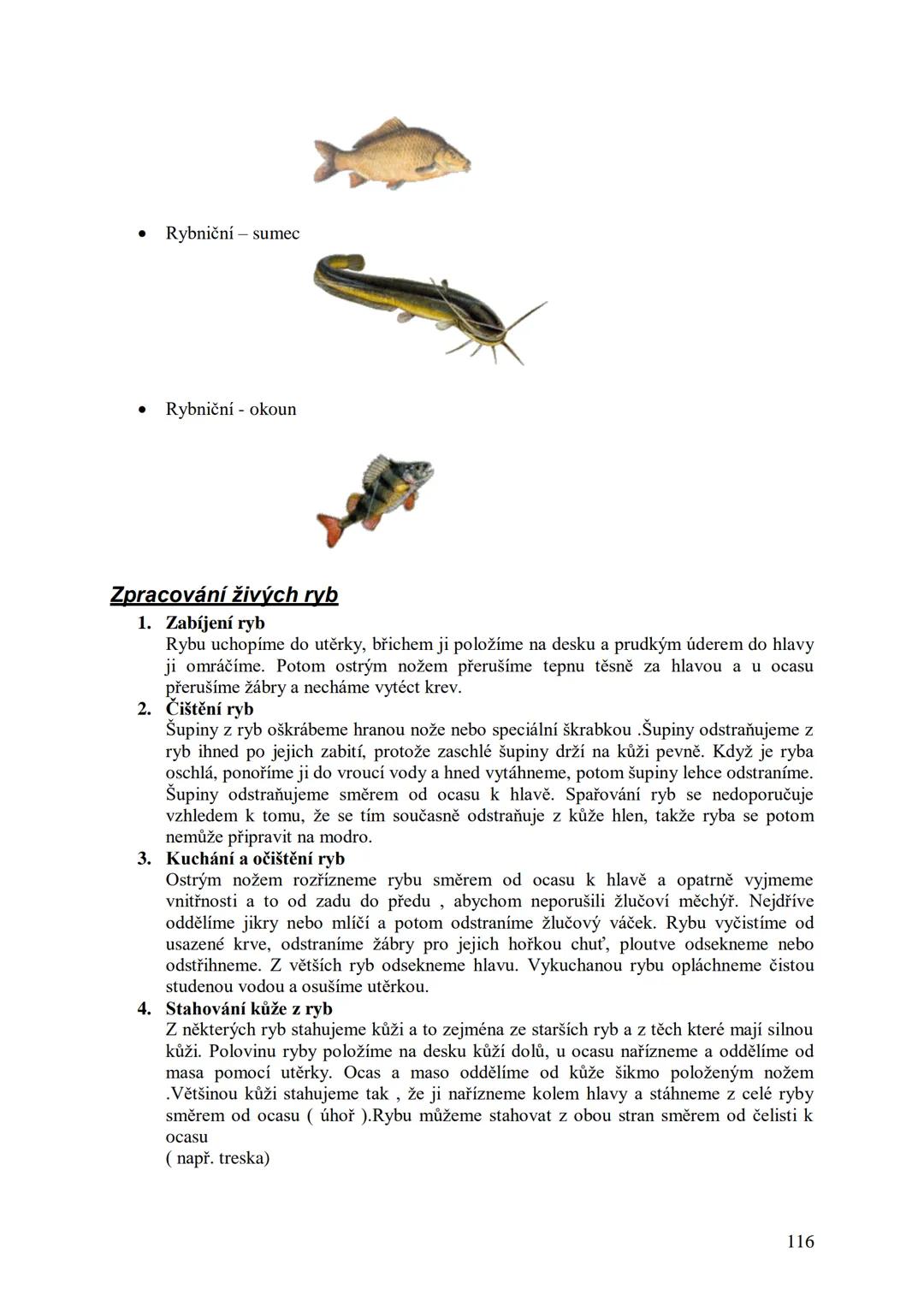 ## Učební skripta
## Kuchařská technologie Obsah:
Předmluva....
12
Hygiena a bezpečnost práce..
13
Hygienické minimum pro pracovníky v potra