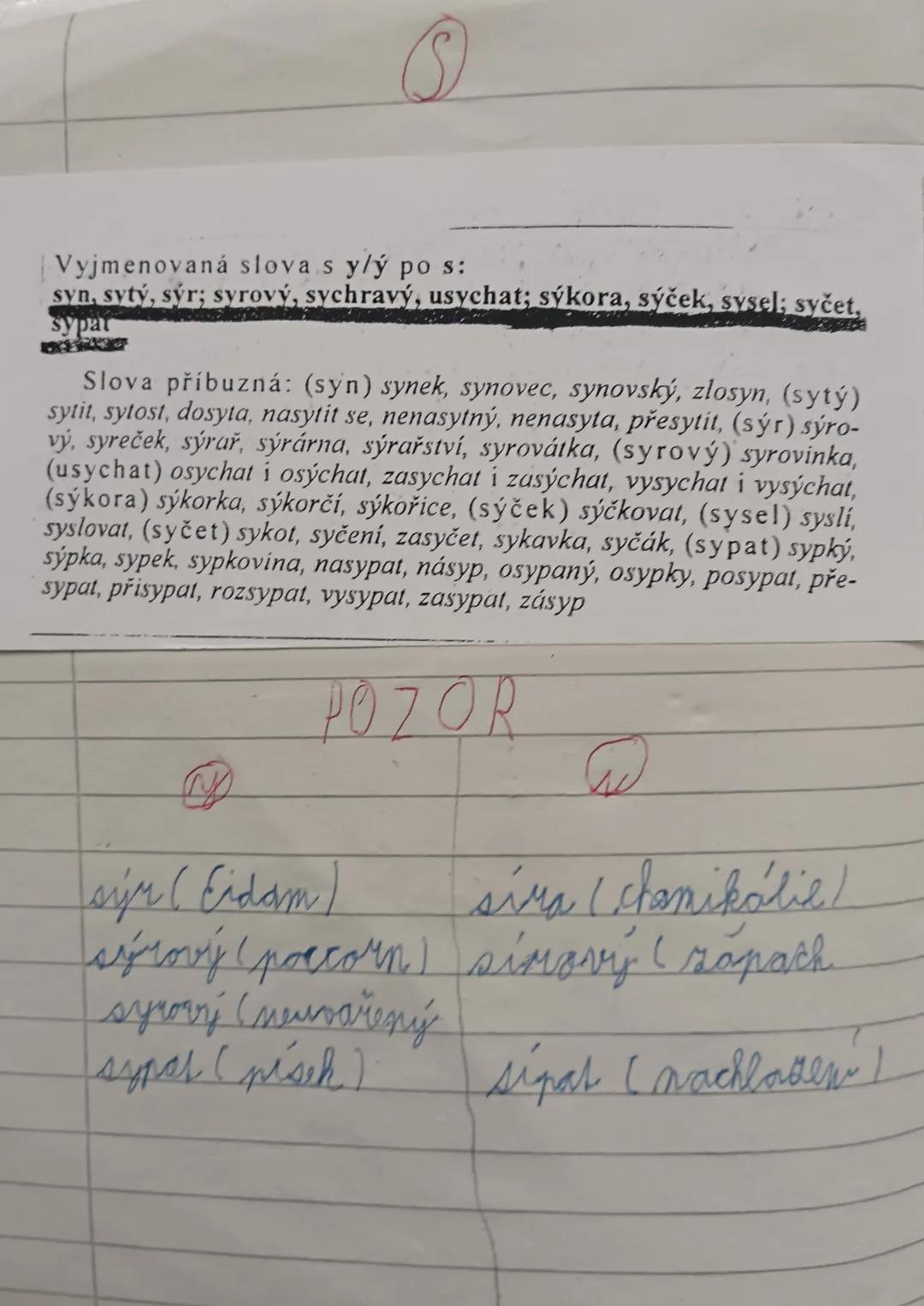 Vyjmenovaná slova po s