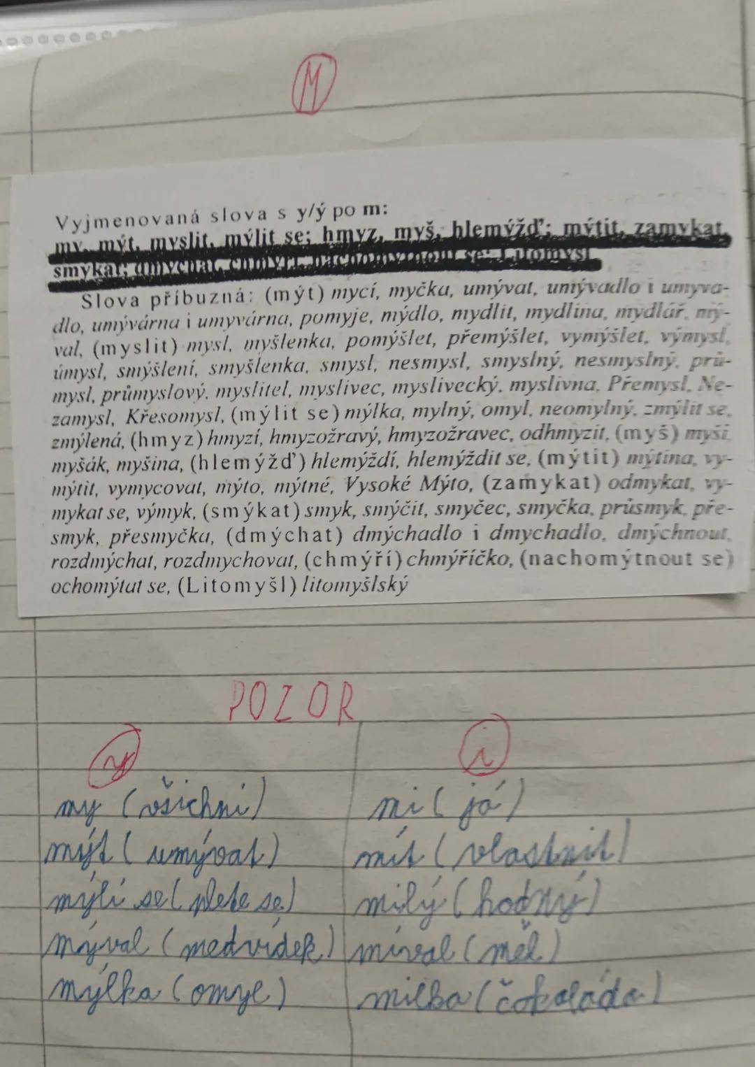 Vyjmenovaná slova s y/ý po m:
my mýt, myslit, mýlit se; hmyz, myš, blemýžd; mýtit, zamykat
Slova příbuzná: (mýt) mycí, myčka, umývat, unmýv