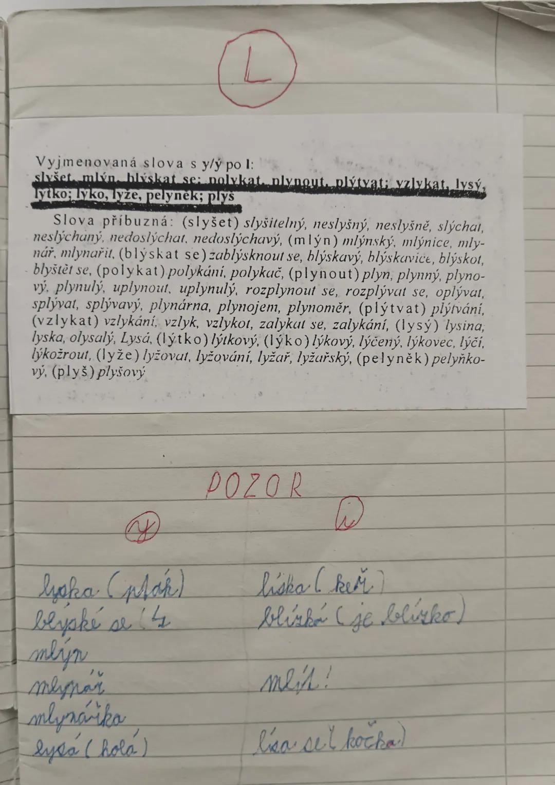 Vyjmenovaná slova po l