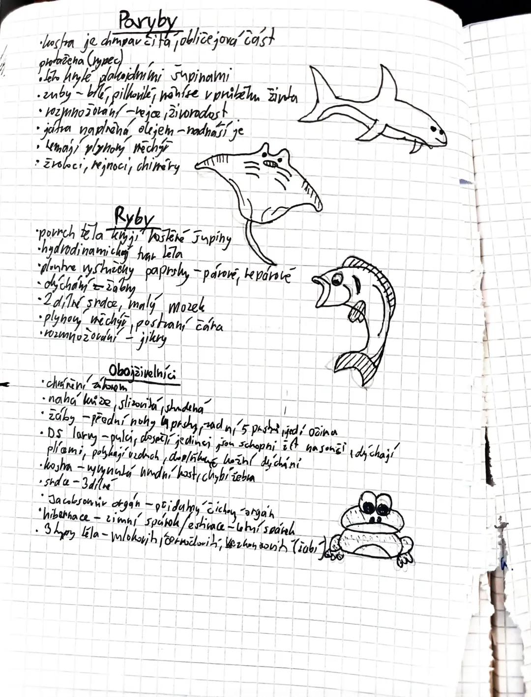 Paryby, ryby a obojživelníci: Základy a informace