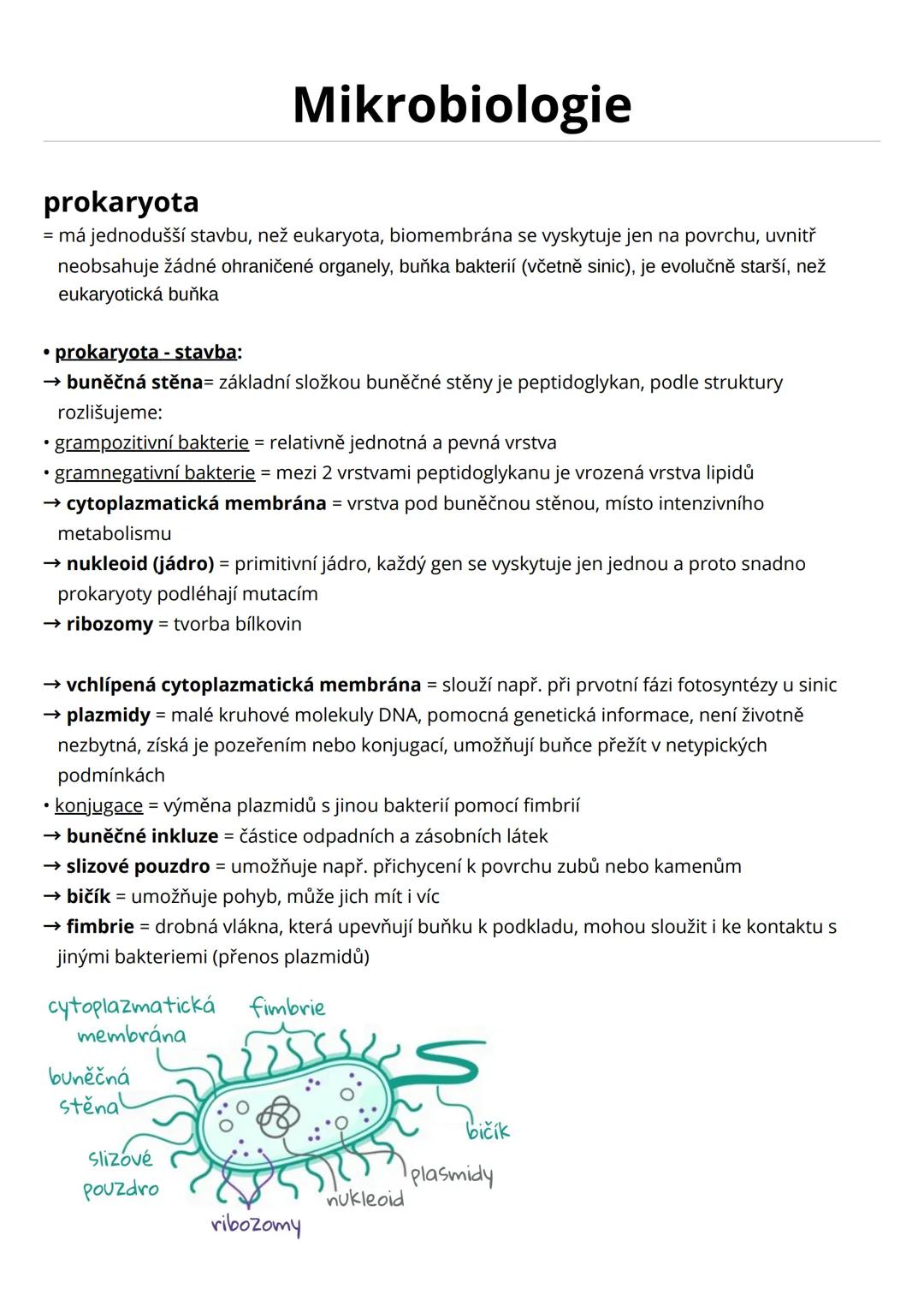 # Mikrobiologie
prokaryota
= má jednodušší stavbu, než eukaryota, biomembrána se vyskytuje jen na povrchu, uvnitř
neobsahuje žádné ohraniče