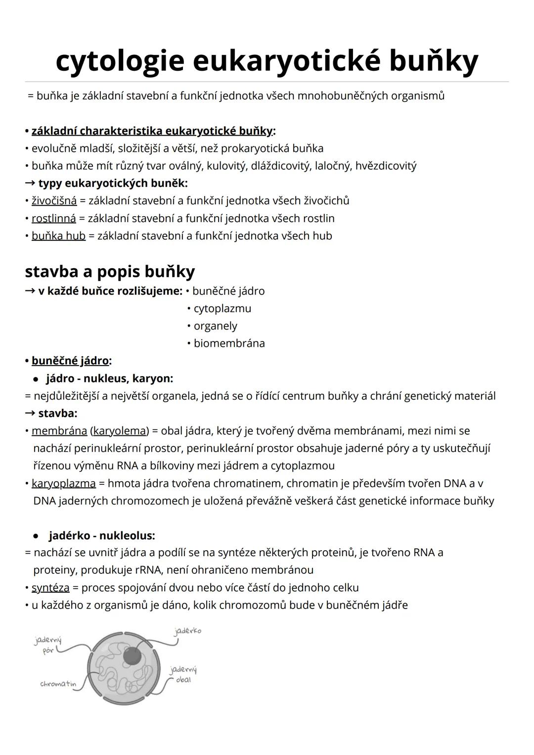 --- OCR Start ---
cytologie eukaryotické buňky
= buňka je základní stavební a funkční jednotka všech mnohobuněčných organismů
• základní cha