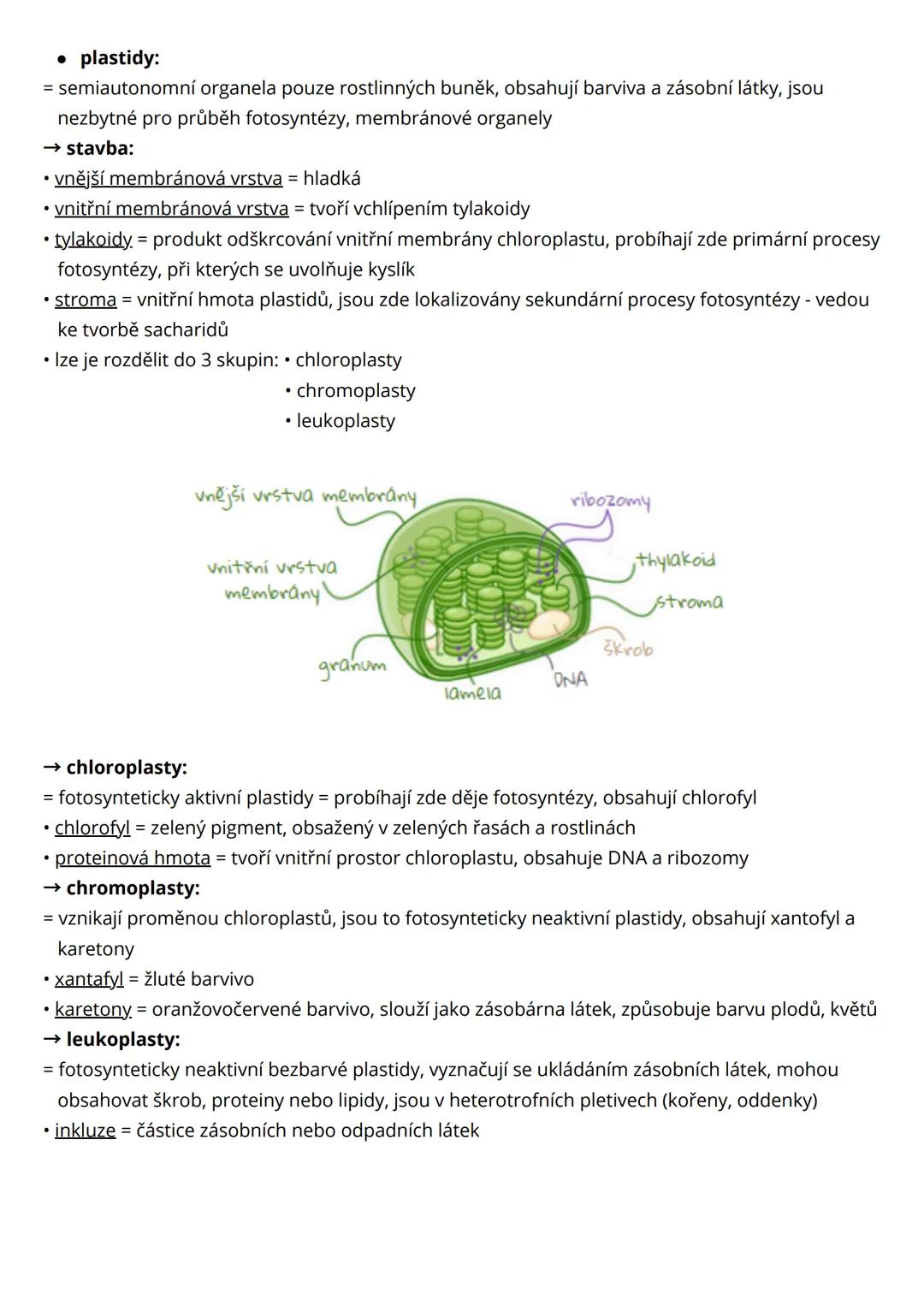 --- OCR Start ---
cytologie eukaryotické buňky
= buňka je základní stavební a funkční jednotka všech mnohobuněčných organismů
• základní cha