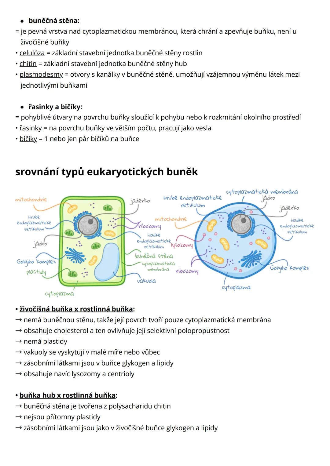 --- OCR Start ---
cytologie eukaryotické buňky
= buňka je základní stavební a funkční jednotka všech mnohobuněčných organismů
• základní cha