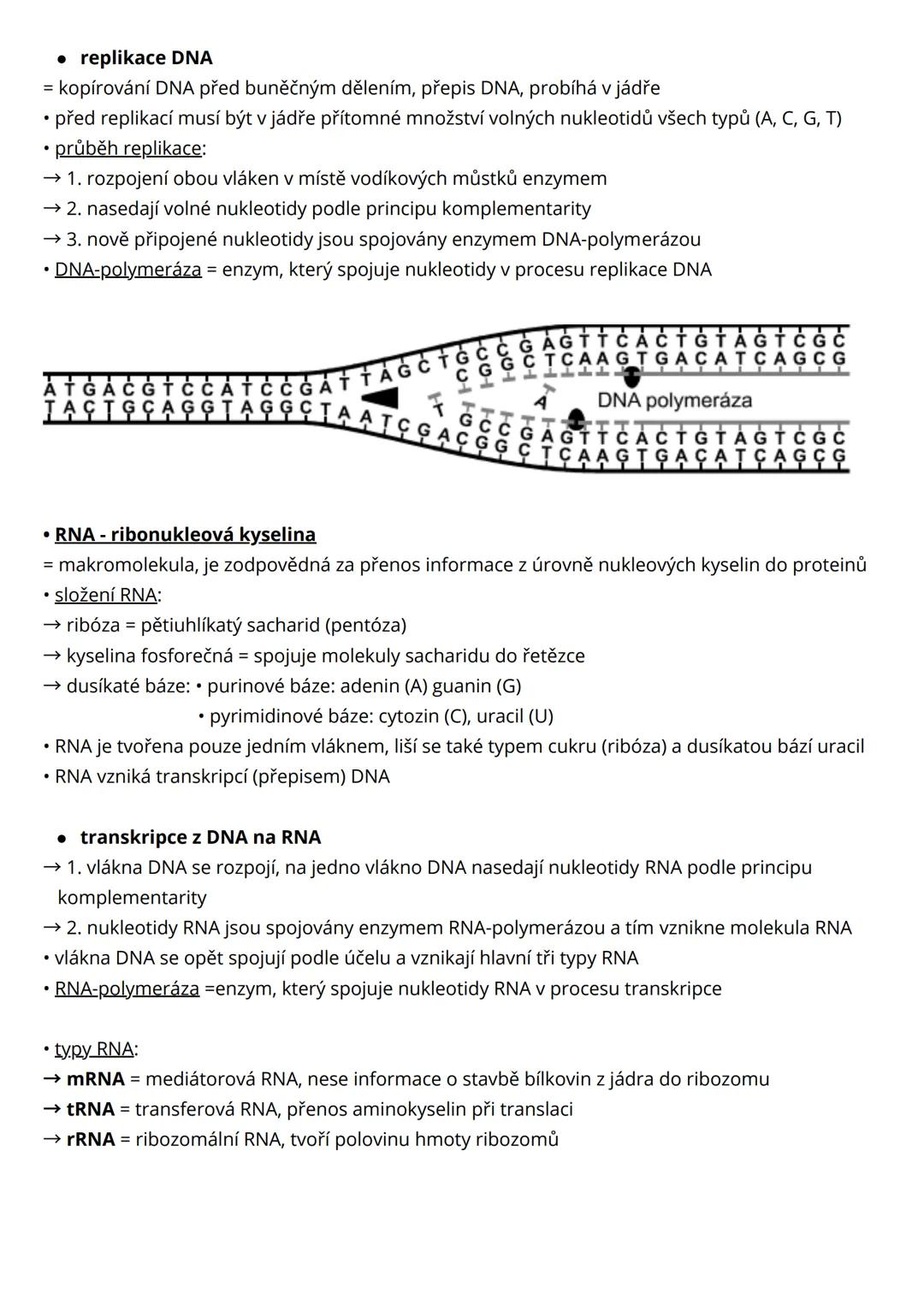 --- OCR Start ---
Genetika
molekulární genetika
= základním nosičem genetické informace je molekula DNA, molekula DNA se může replikovat
(ko