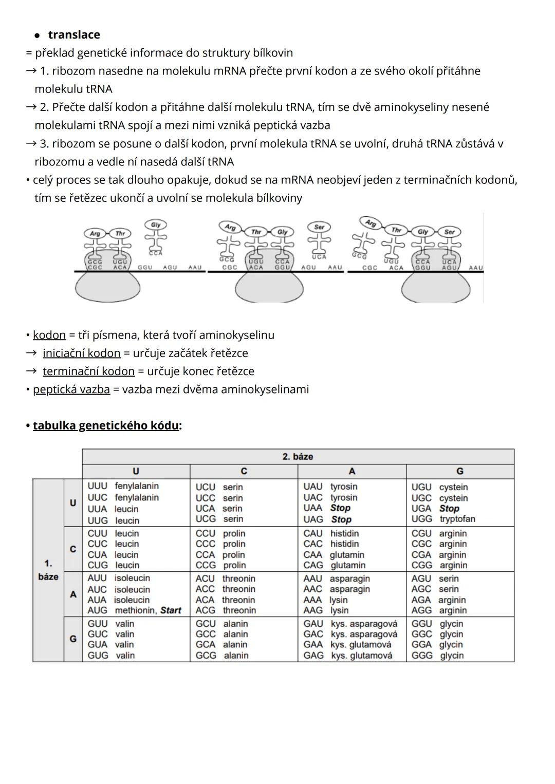 --- OCR Start ---
Genetika
molekulární genetika
= základním nosičem genetické informace je molekula DNA, molekula DNA se může replikovat
(ko