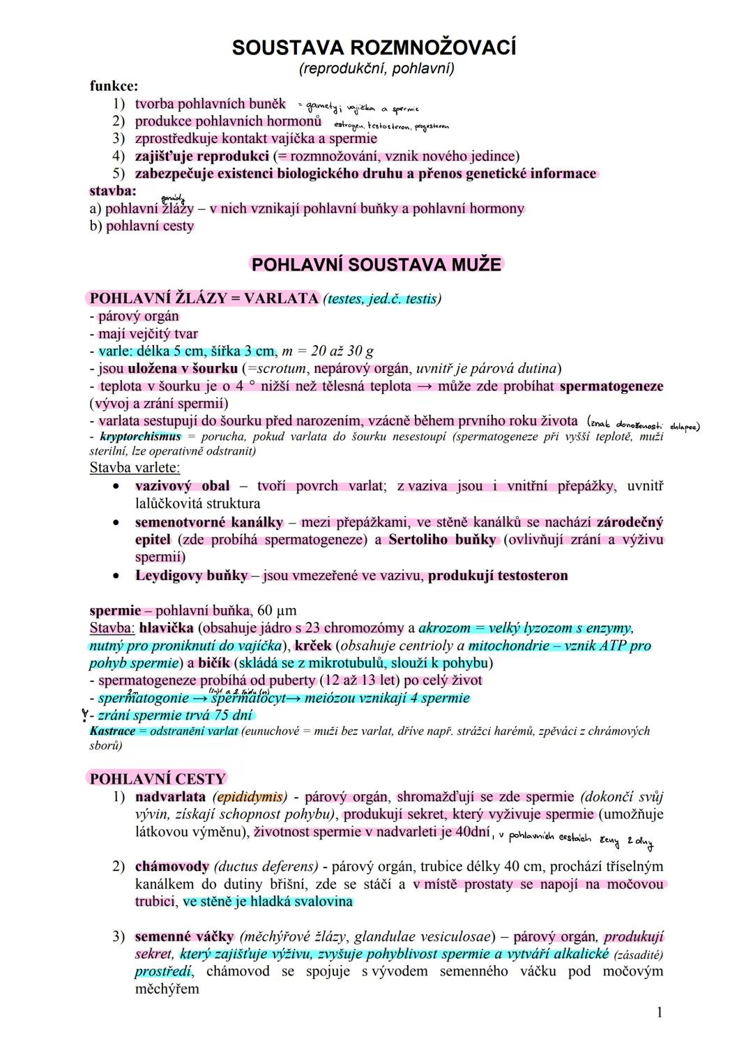 Rozmnožovací soustava