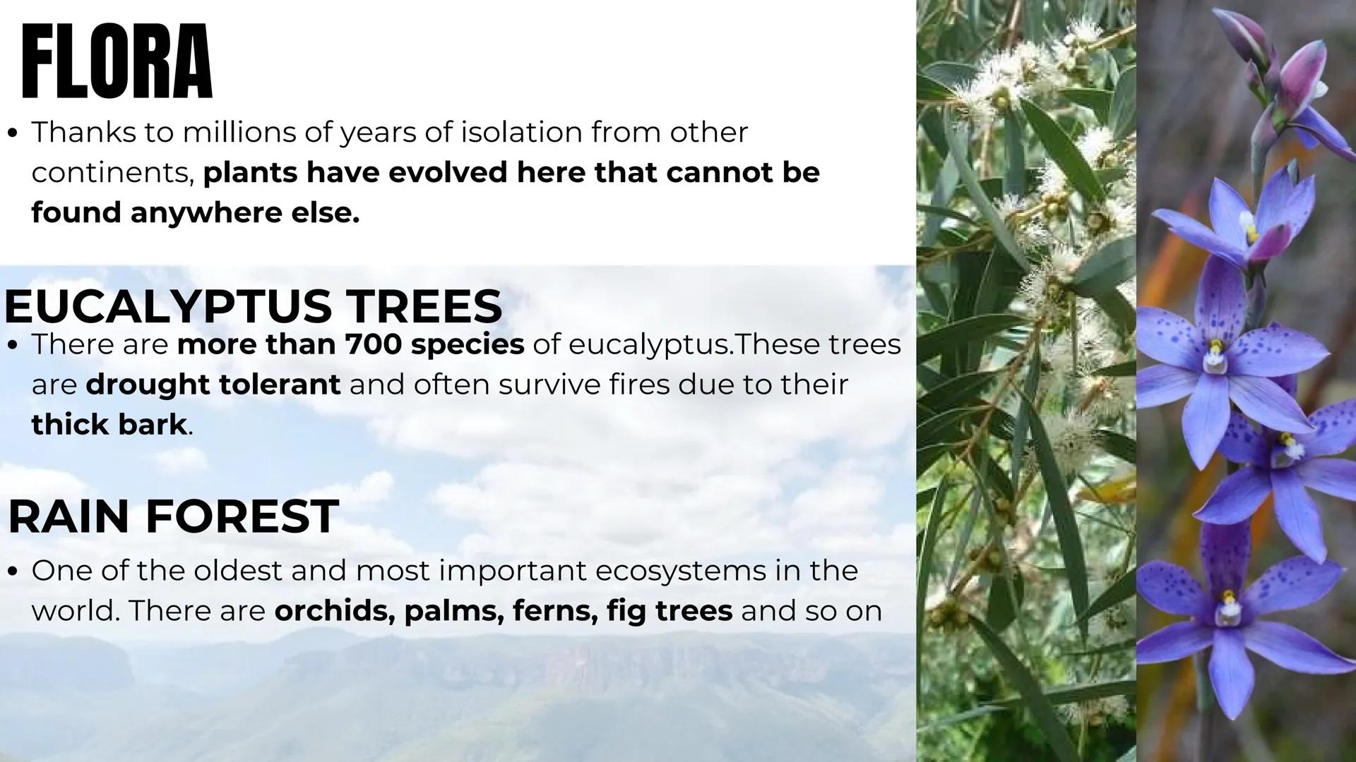 # AUSTRALIA # GEOGRAPHY OF AUSTRALIA
- It is located in the Southern Hemisphere
- It is an island, surrounded by Indian and Pacific oceans