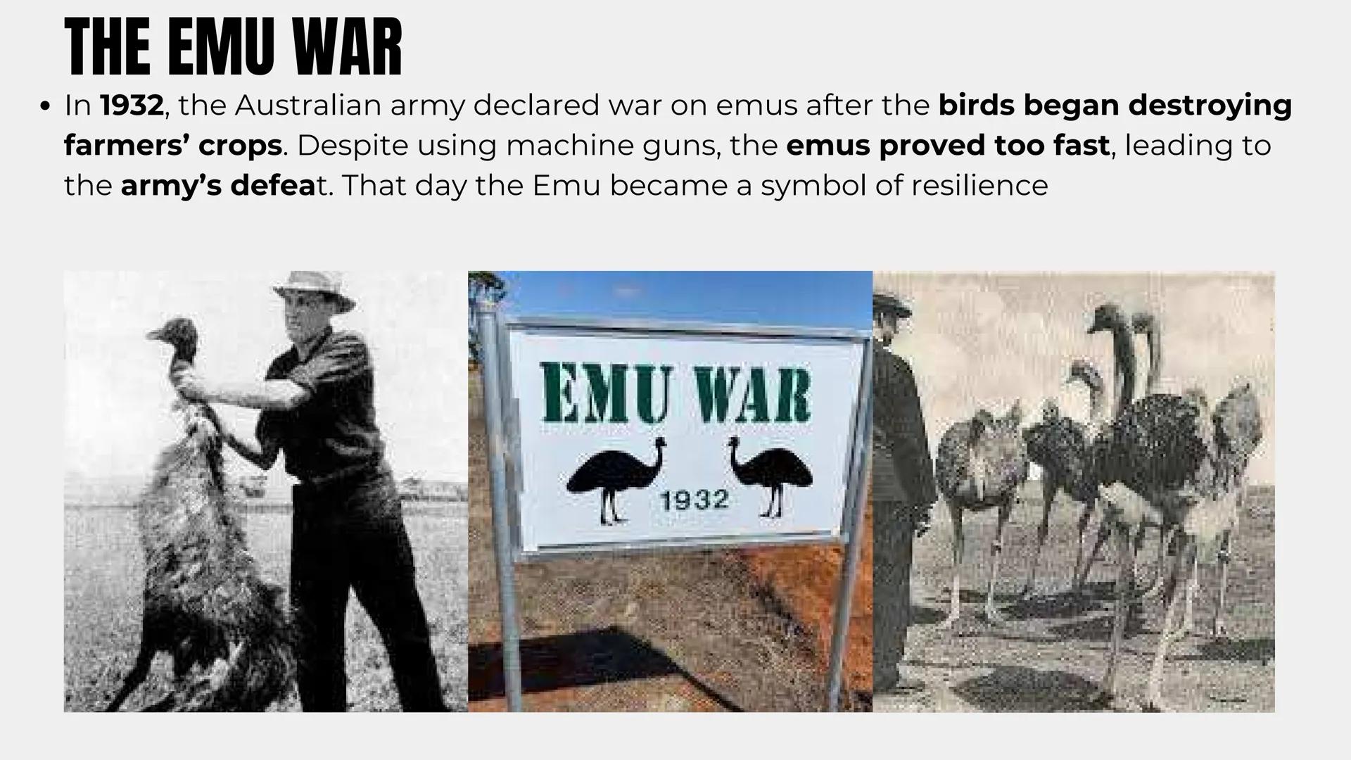 # AUSTRALIA # GEOGRAPHY OF AUSTRALIA
- It is located in the Southern Hemisphere
- It is an island, surrounded by Indian and Pacific oceans